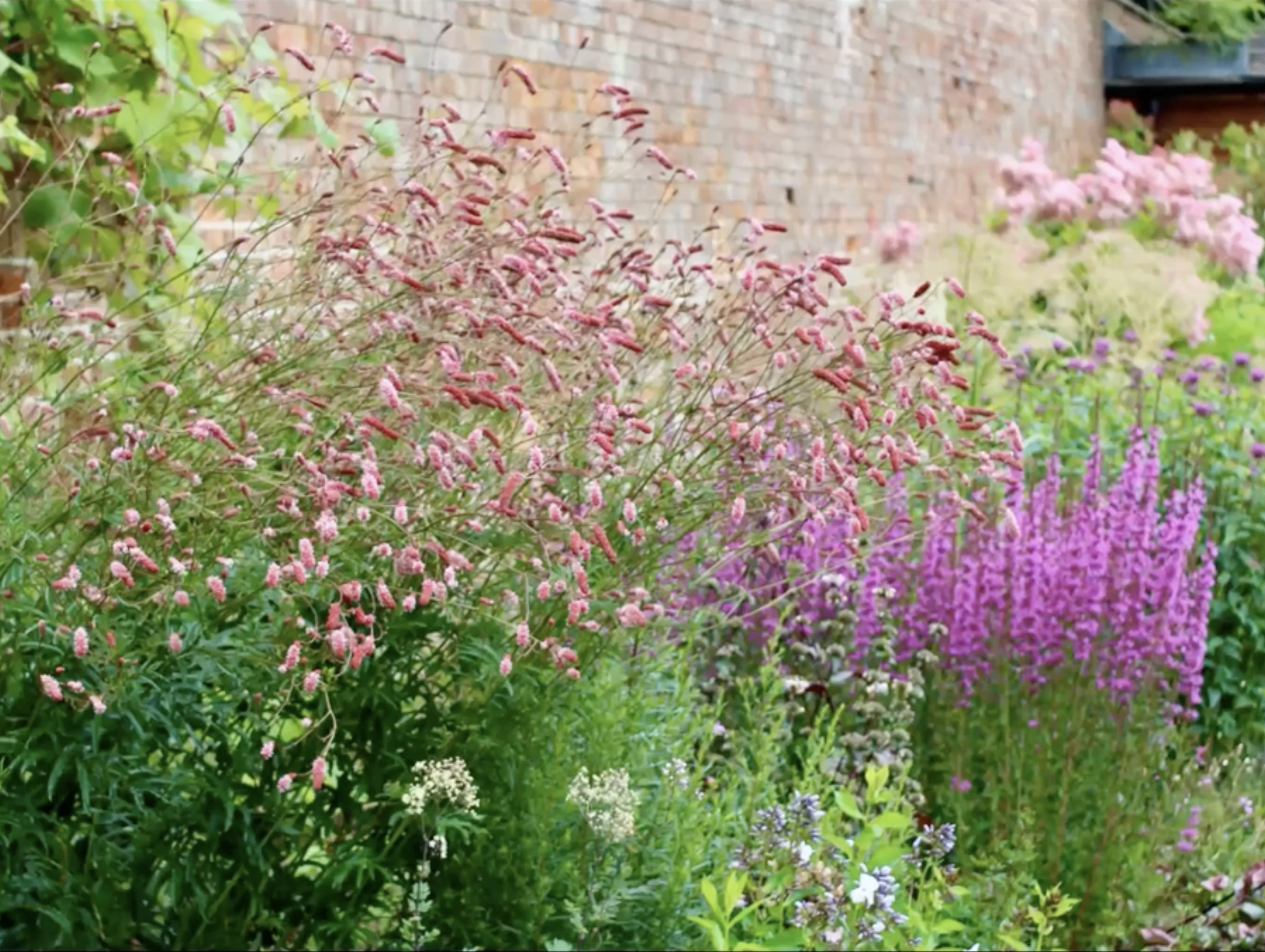 Zrzut ekranu 2026-02-5 o 12.44.22.png