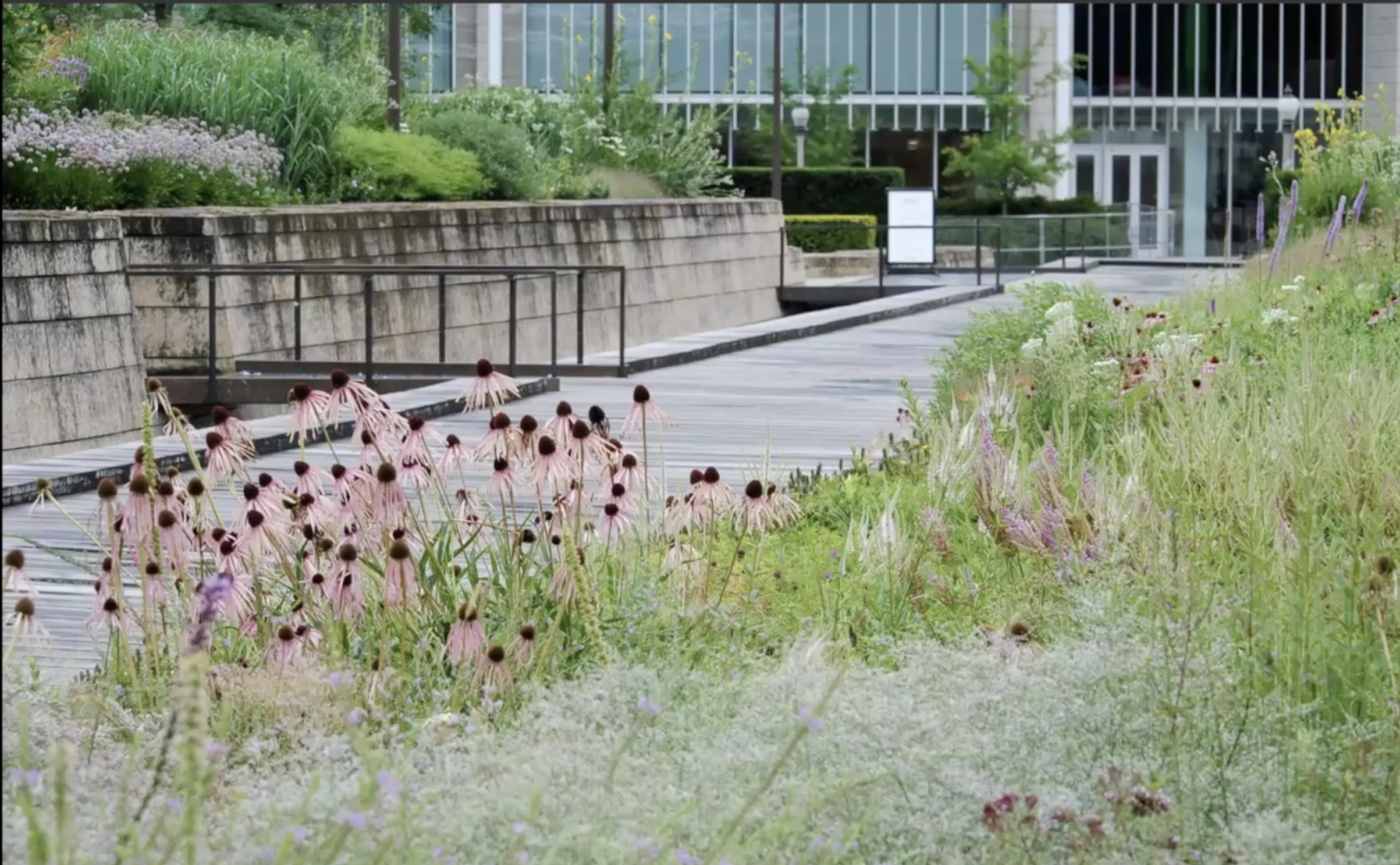 Zrzut ekranu 2026-02-5 o 18.08.25.png