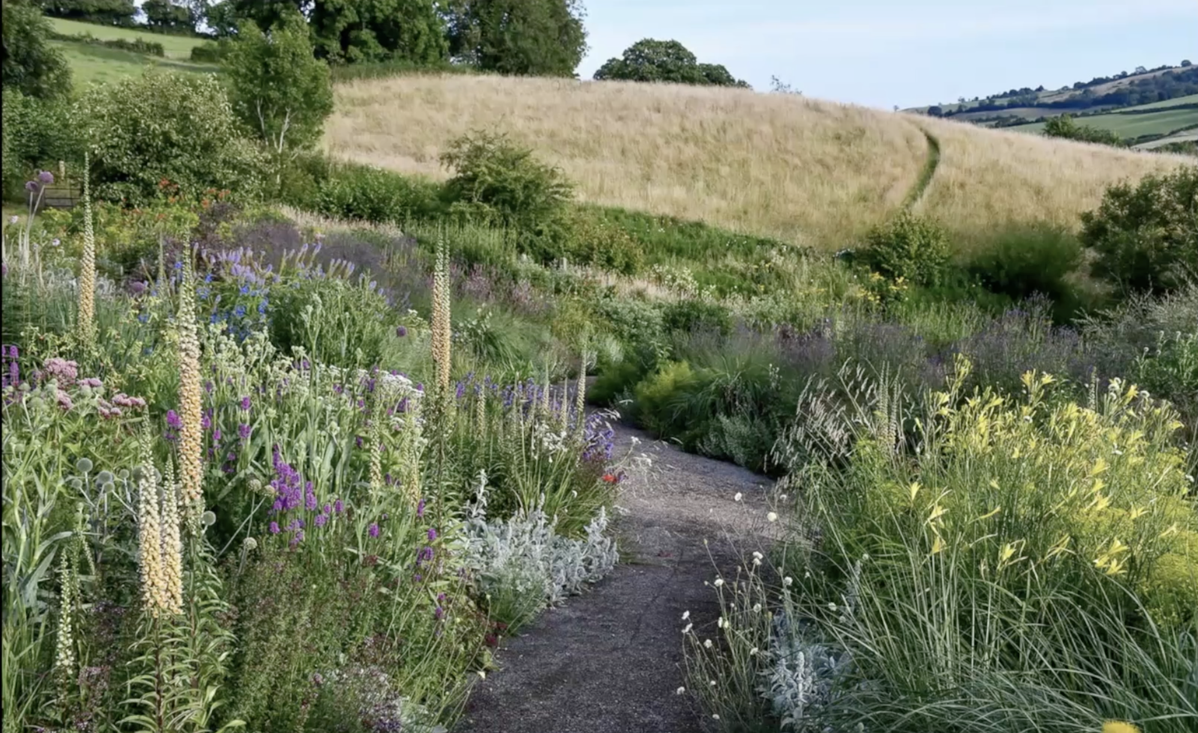 Zrzut ekranu 2026-02-5 o 18.07.36.png