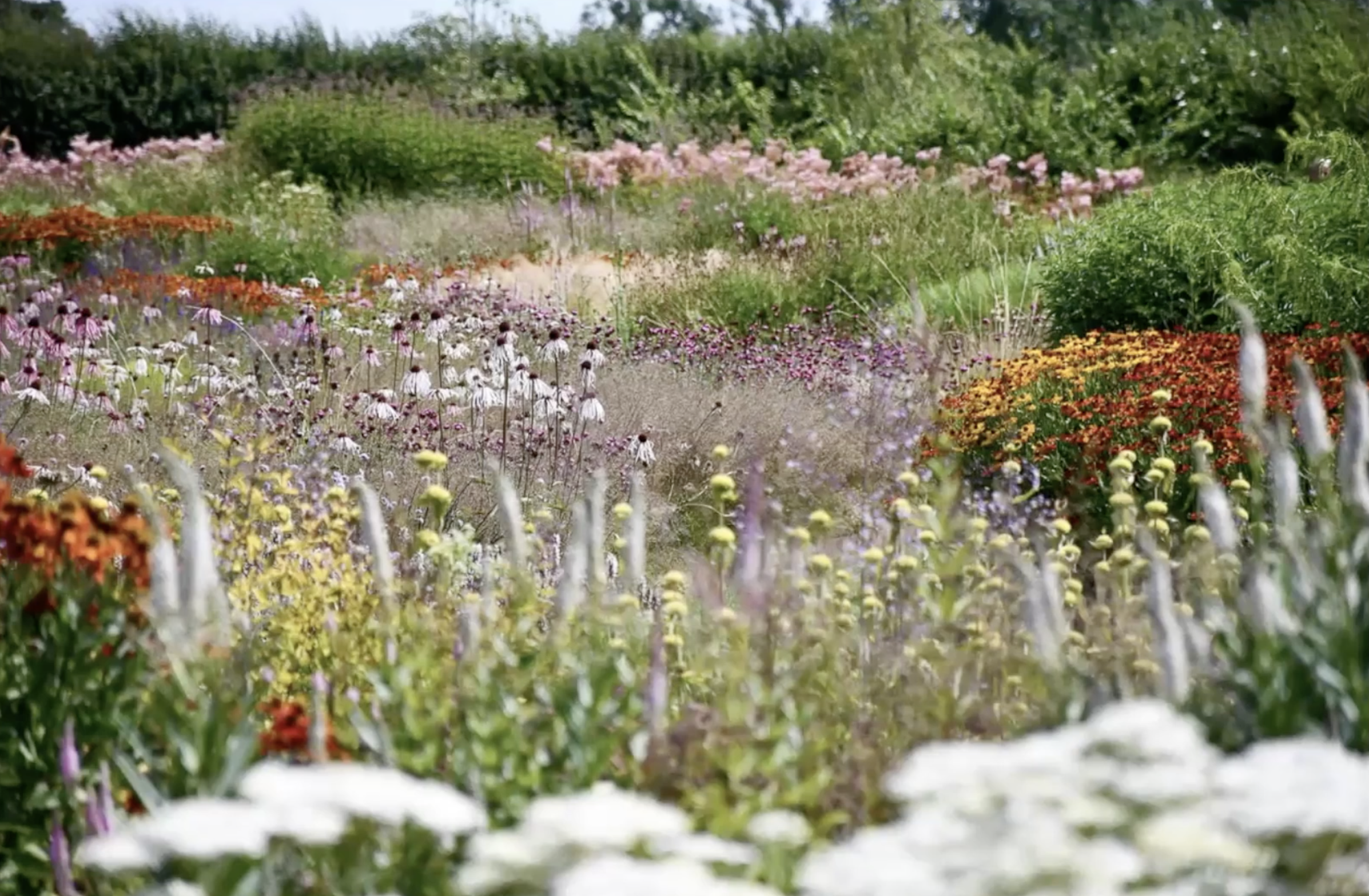 Zrzut ekranu 2026-02-5 o 18.04.59.png