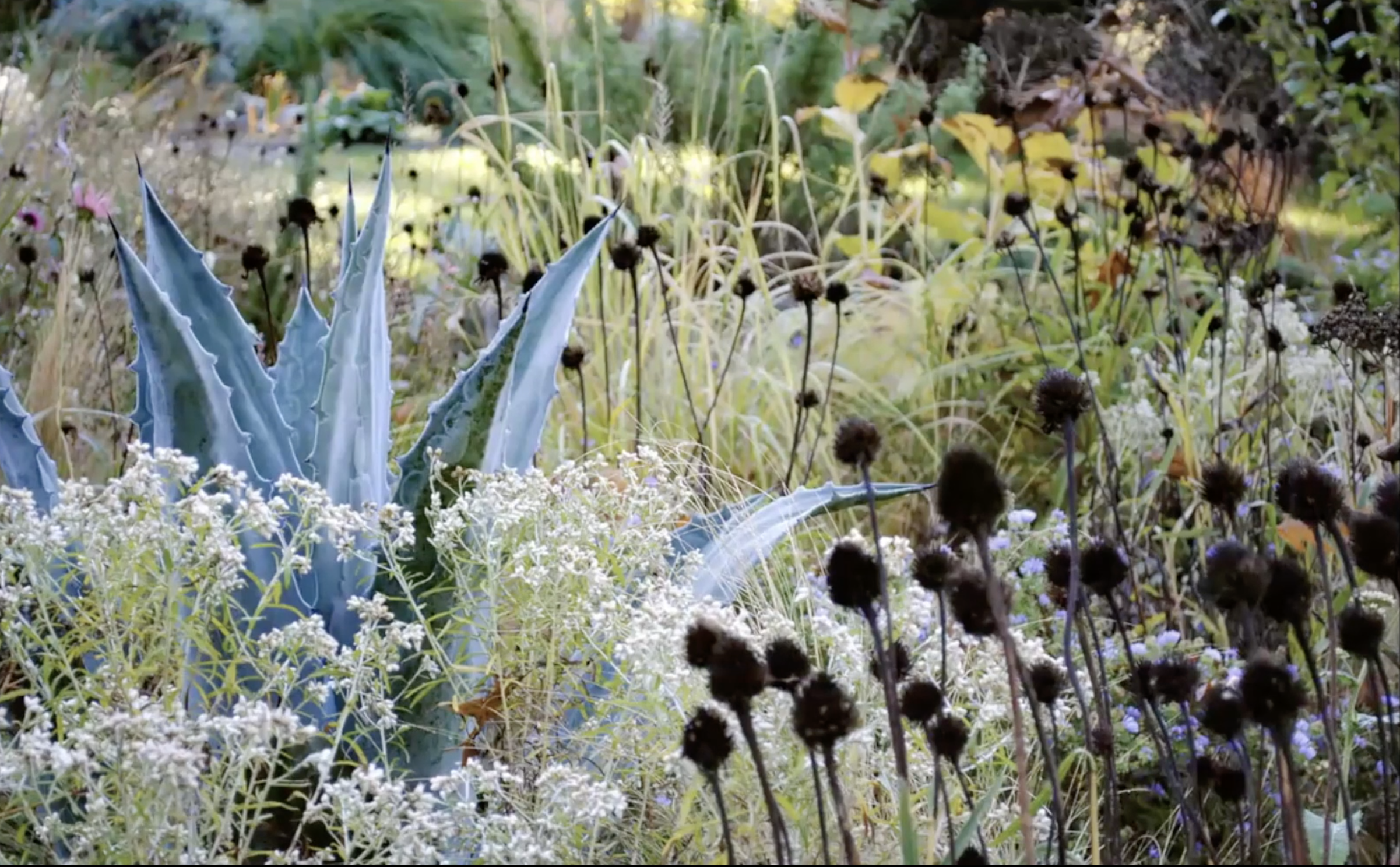 Zrzut ekranu 2026-02-5 o 18.01.11.png