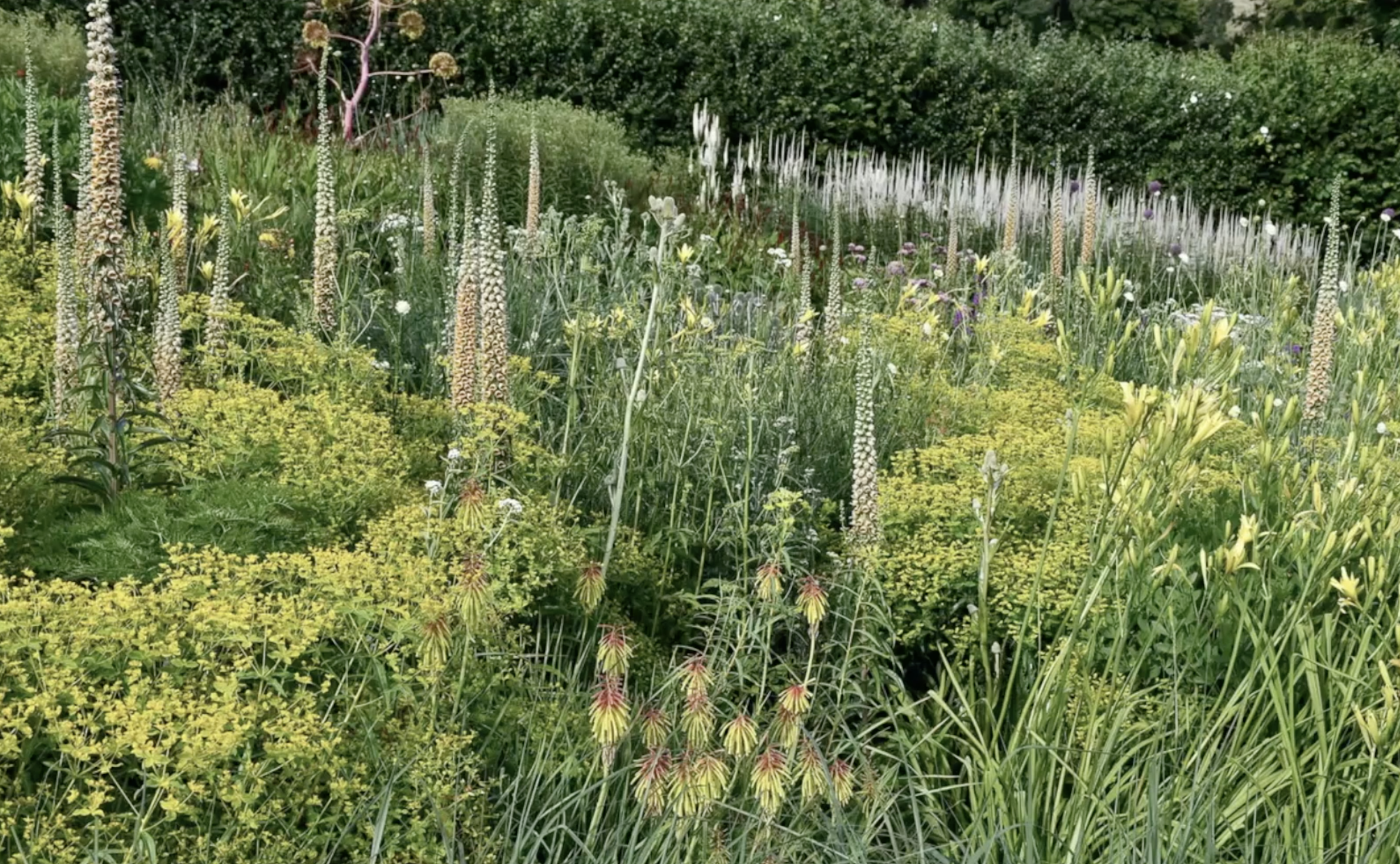 Zrzut ekranu 2026-02-5 o 17.56.44.png