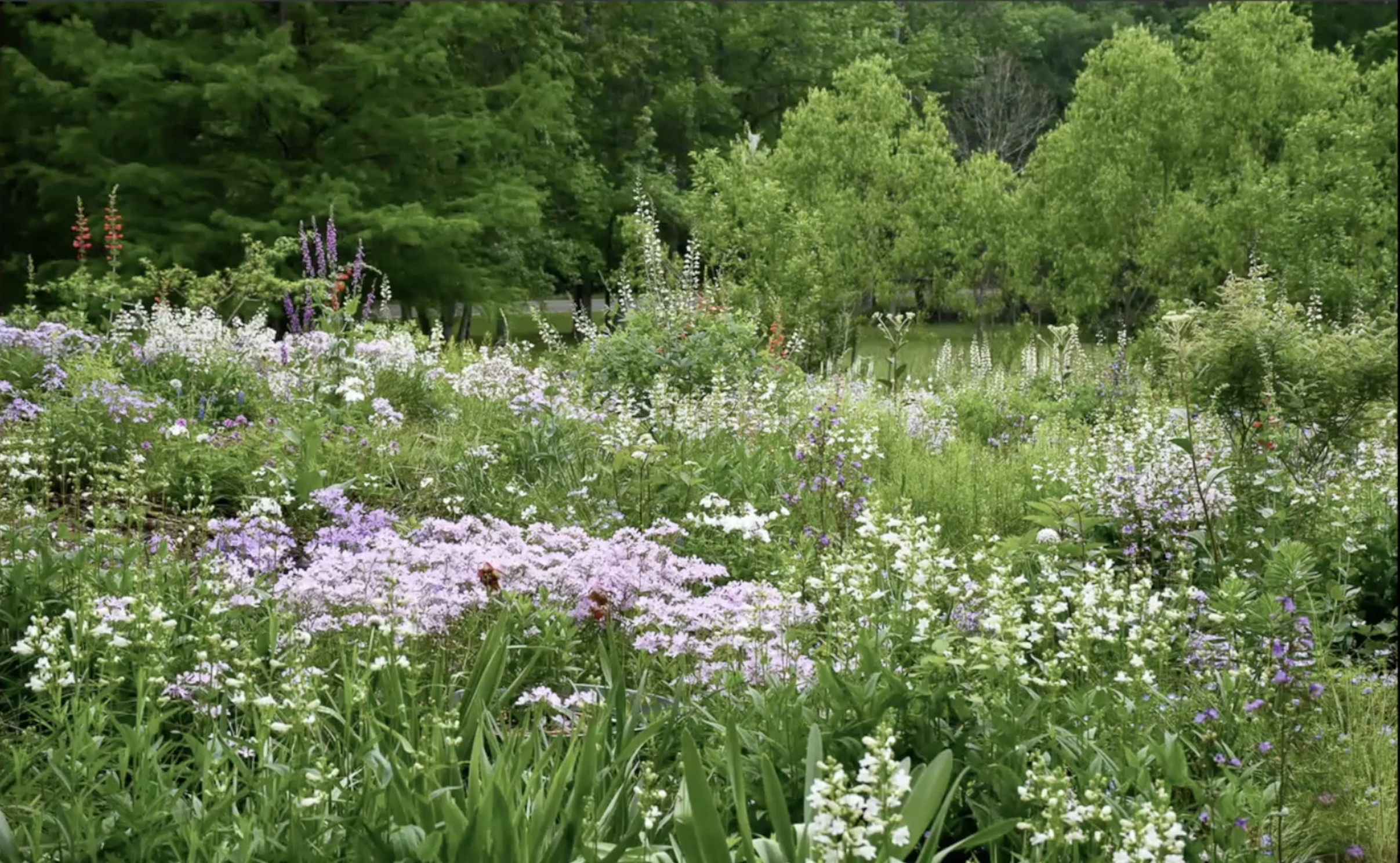 Zrzut ekranu 2026-02-5 o 17.54.32.png