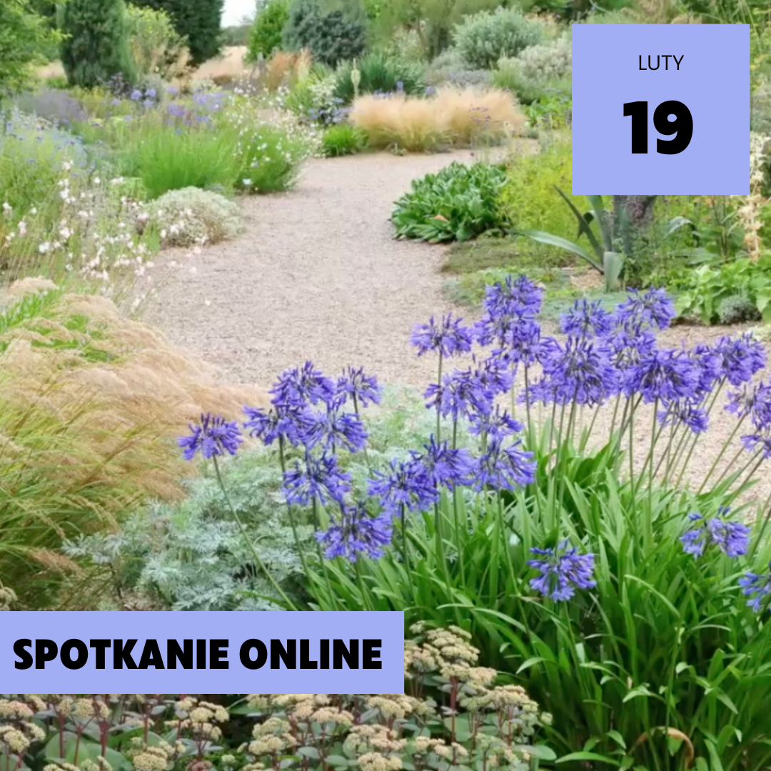 Beth Chatto Gardens. Asa Gregers-Warg