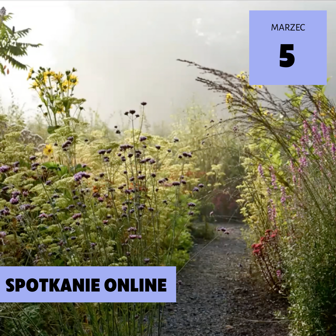 Wysokie byliny. Jack Wilgoss