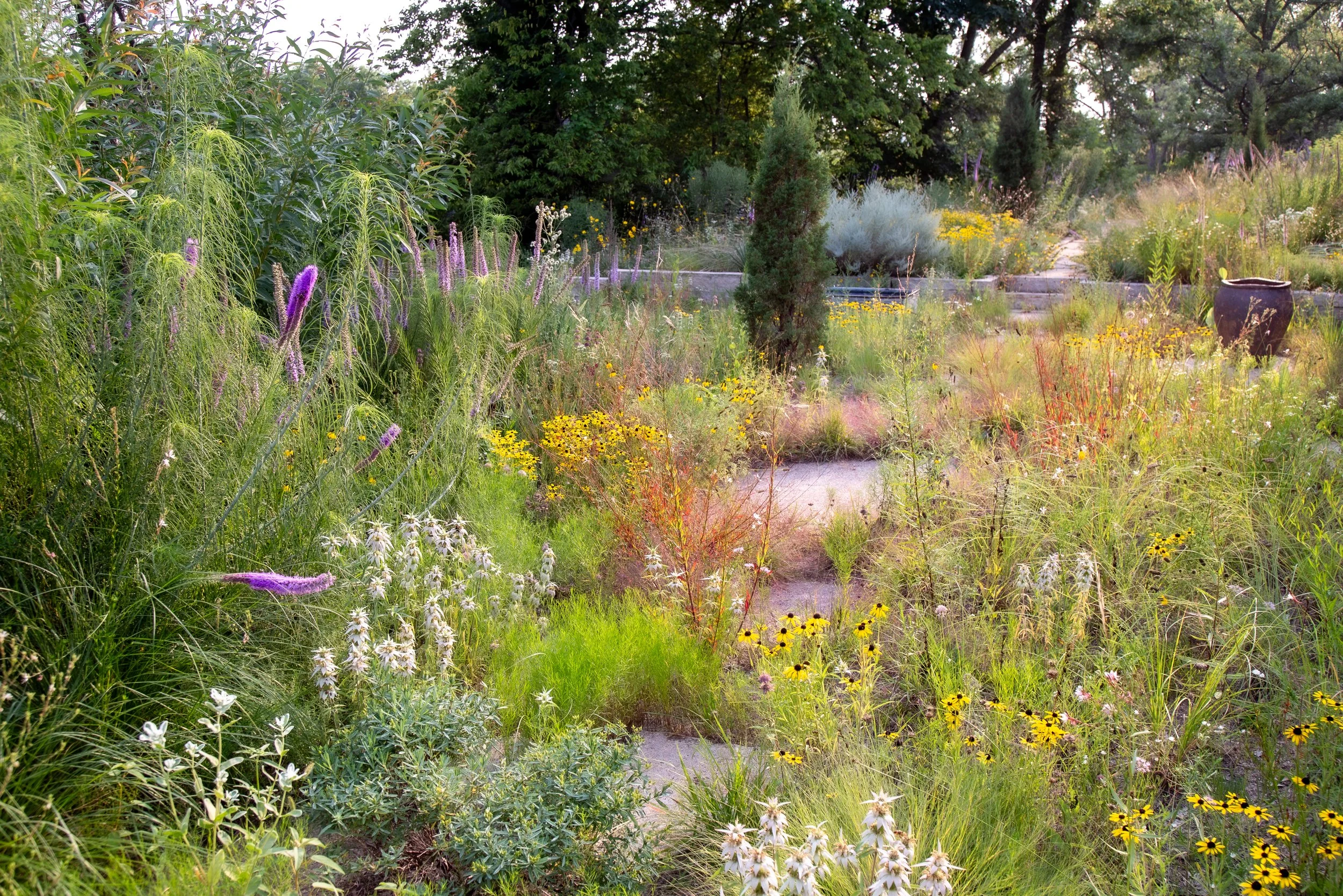 2024-07-25 19.55.58-2.jpg