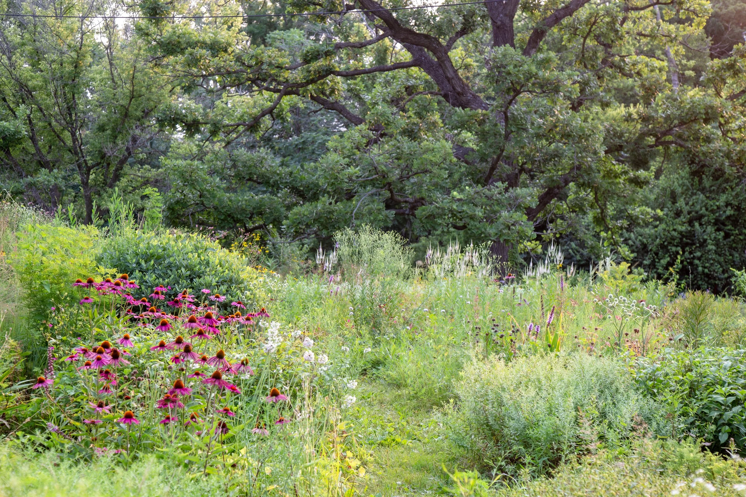 2024-07-14 20.55.33.jpg