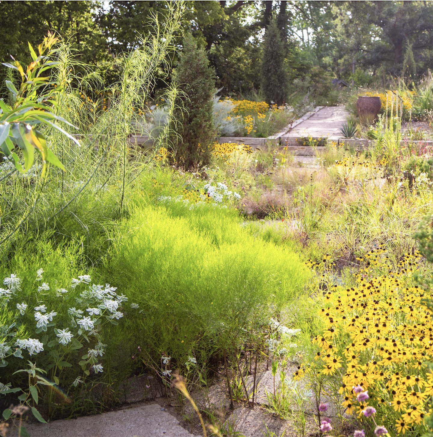 Zrzut ekranu 2026-03-5 o 12.47.02.png