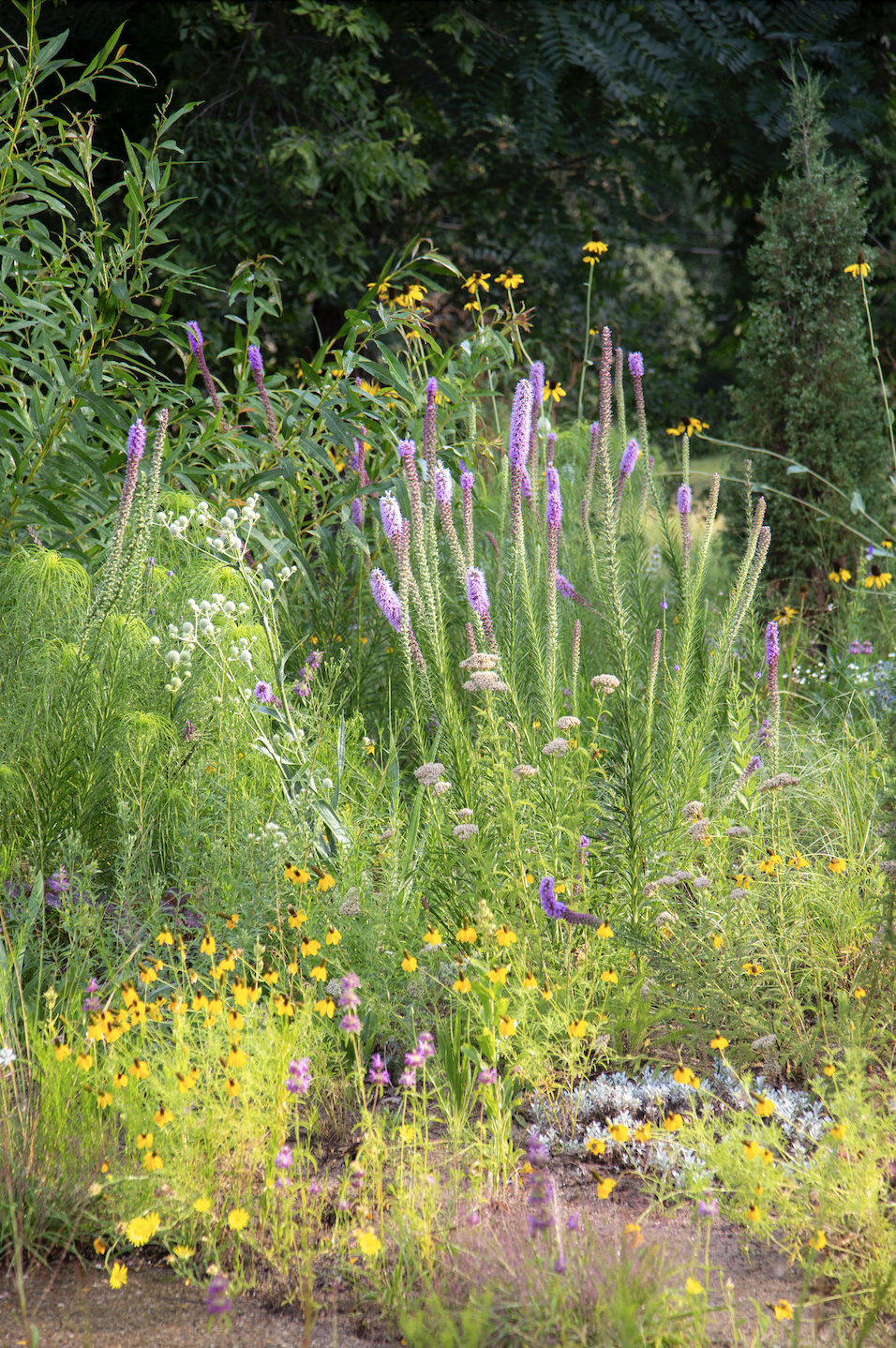 Zrzut ekranu 2026-03-5 o 15.32.45.png