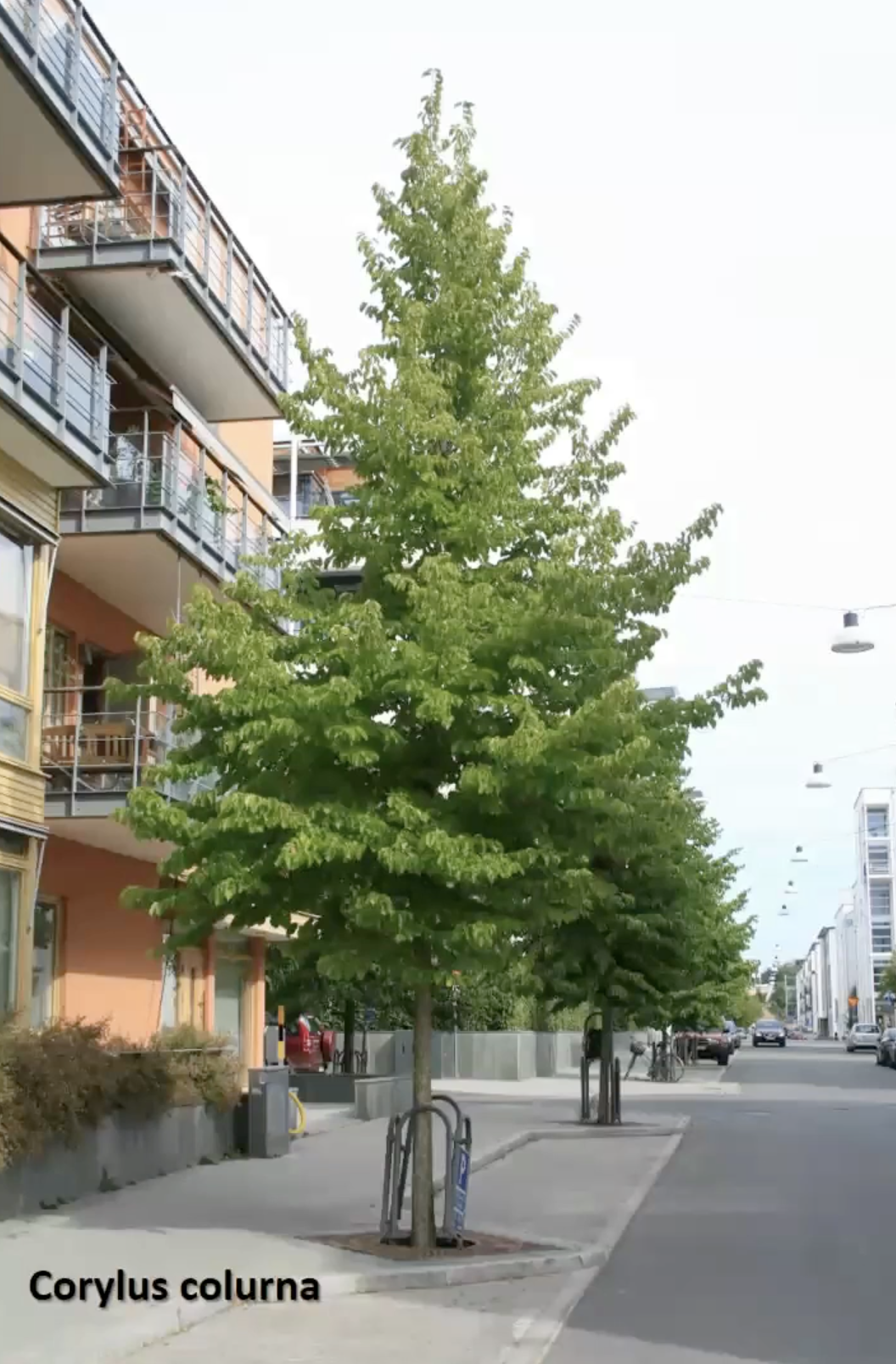 Zrzut ekranu 2026-03-18 o 12.30.49.png