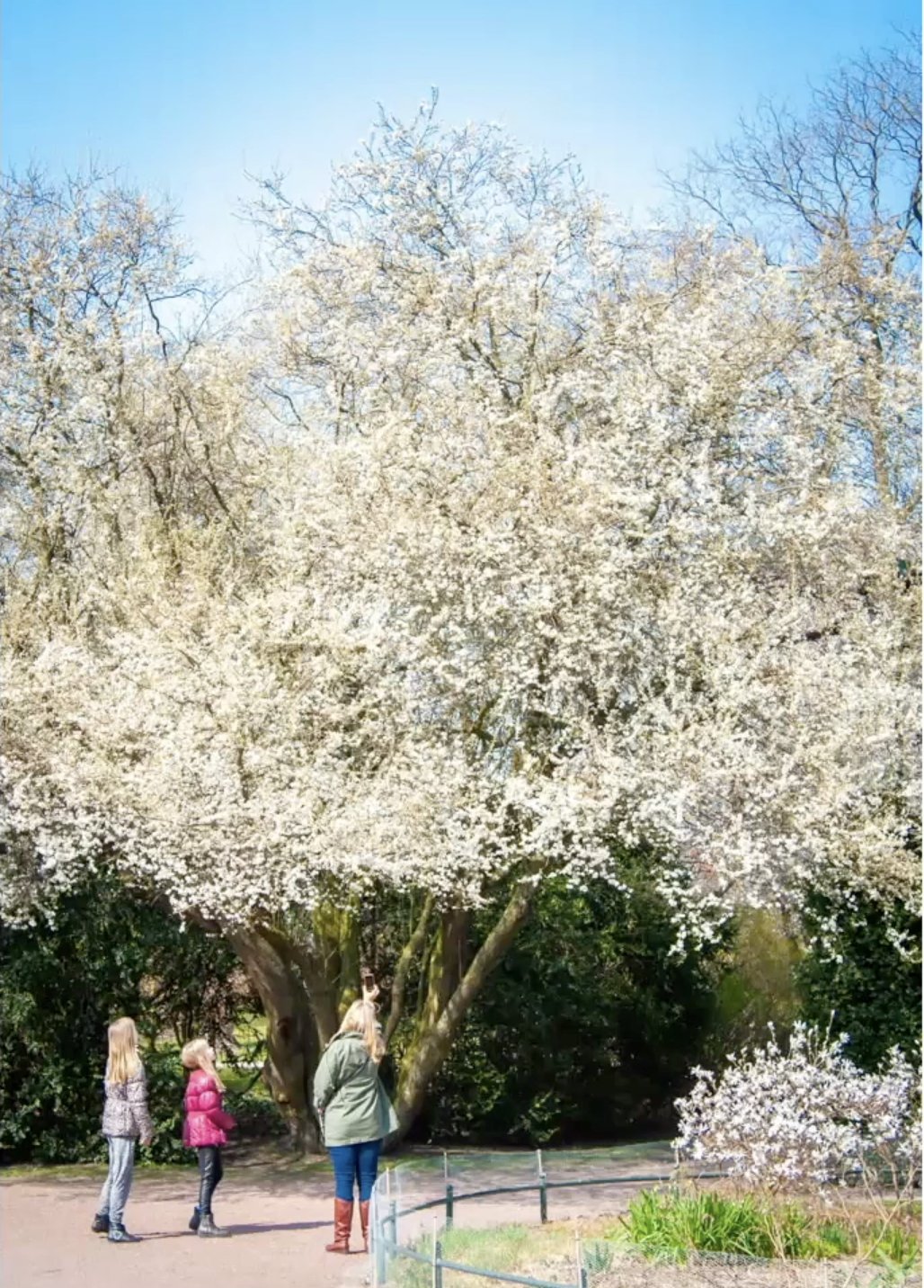 Zrzut ekranu 2026-03-18 o 12.40.45.png