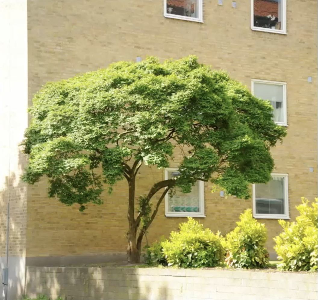 Zrzut ekranu 2026-03-18 o 12.48.14.png