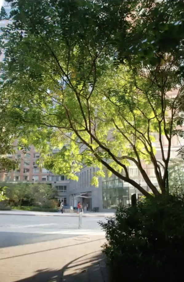 Zrzut ekranu 2026-03-18 o 12.47.17.png