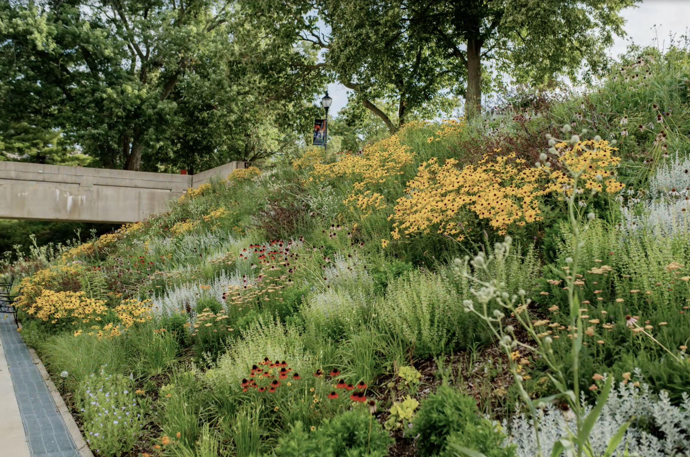 Ogród, który ma działać. O podejściu Kelly’ego D. Norrisa i projektowaniu skarp