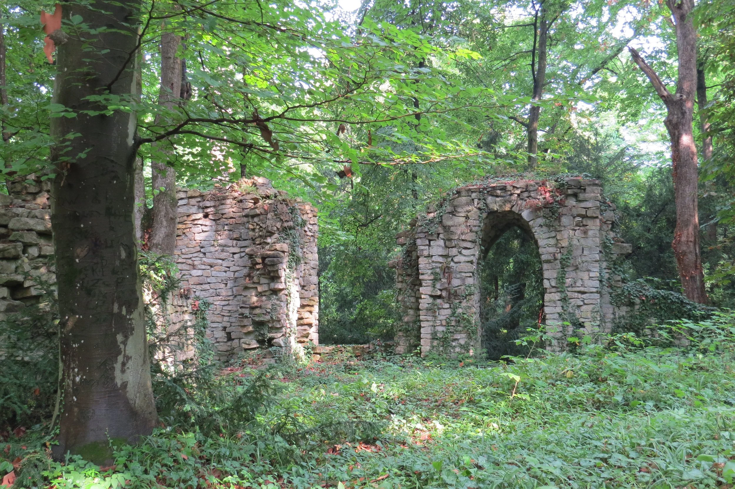 IMG_3694.JPG
