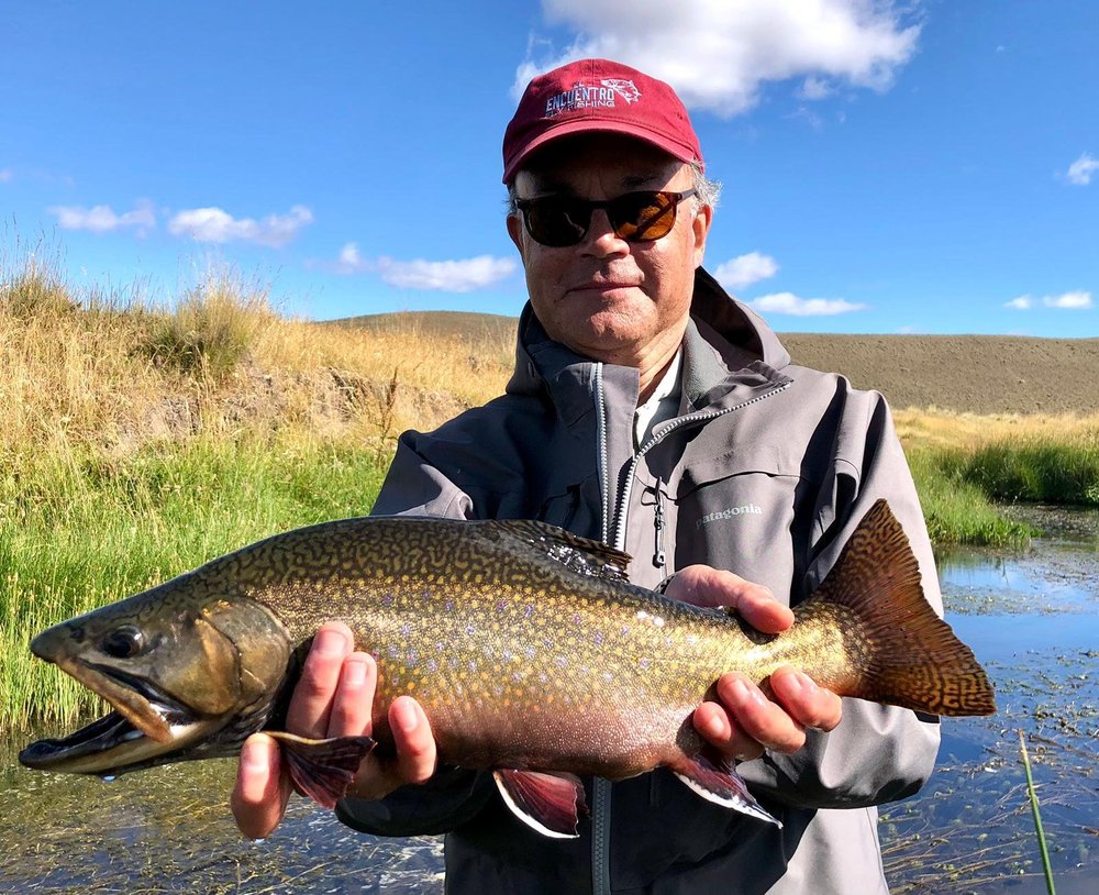 WhatsApp Image 2024-08-14 at 16.17.43.jpeg