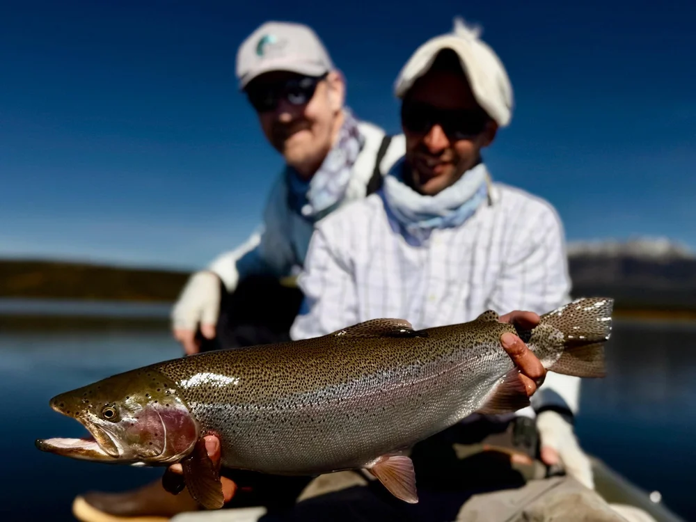 WhatsApp Image 2025-05-02 at 18.33.52 (2).jpeg