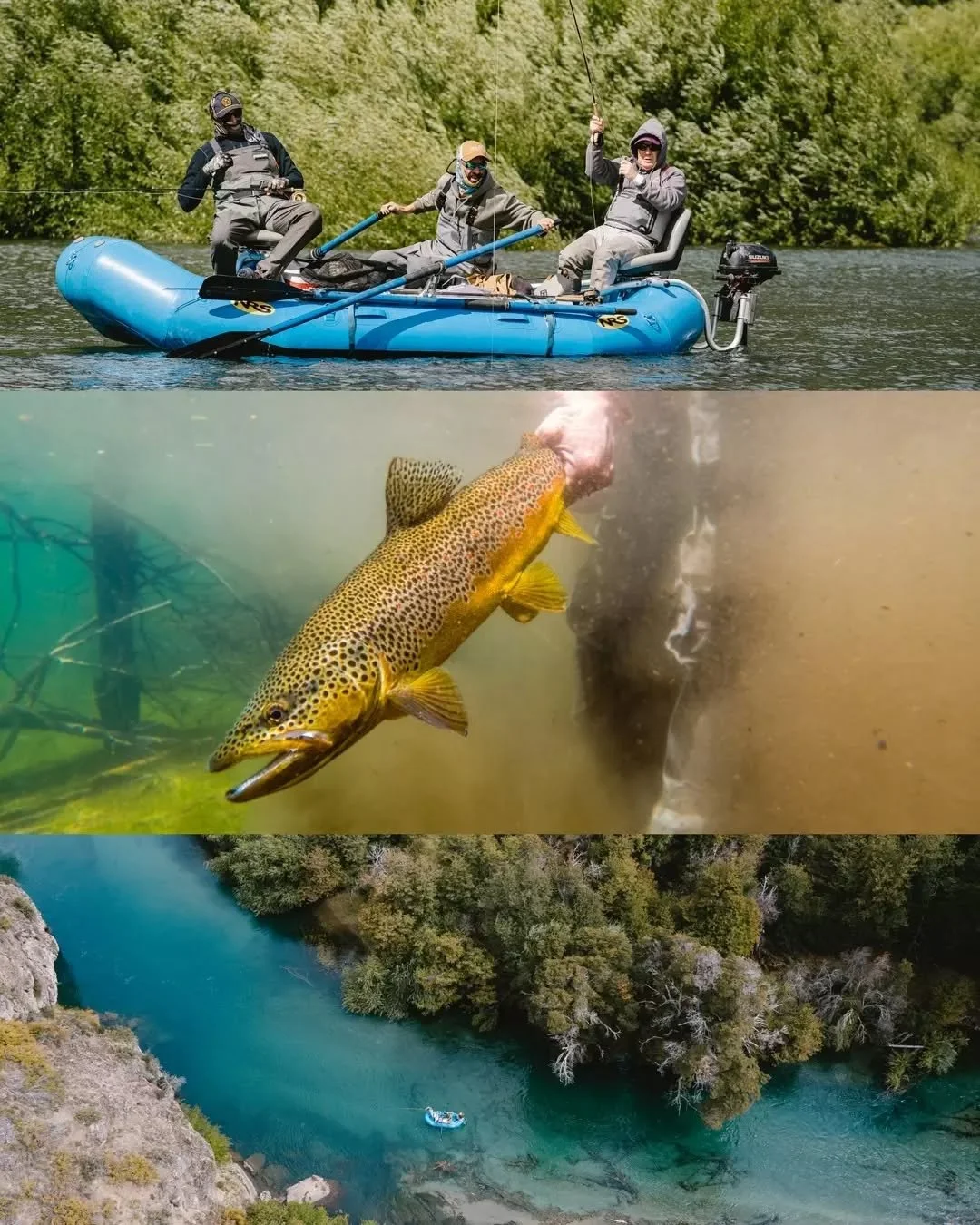 Brown trout dreams, Patagonia edition.&nbsp;

#elencuentroflyfishing #browntrout #troutonthefly #flyfishing #visitargentina #patagoniaflyfishing #fishingdestination