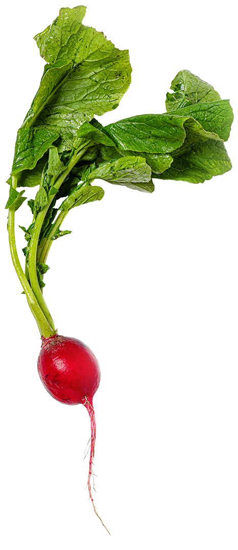 Your Community Grocery Store — Lexington Co-op