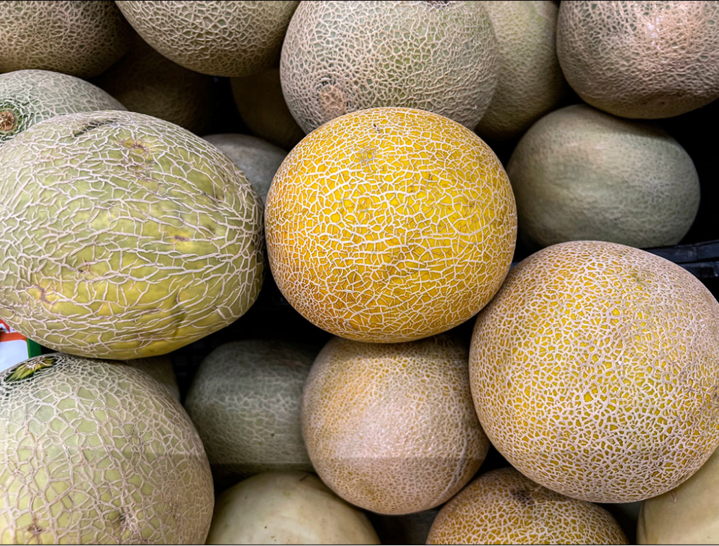 Honduras confirma violaciones laborales en meloneras de Fyffes