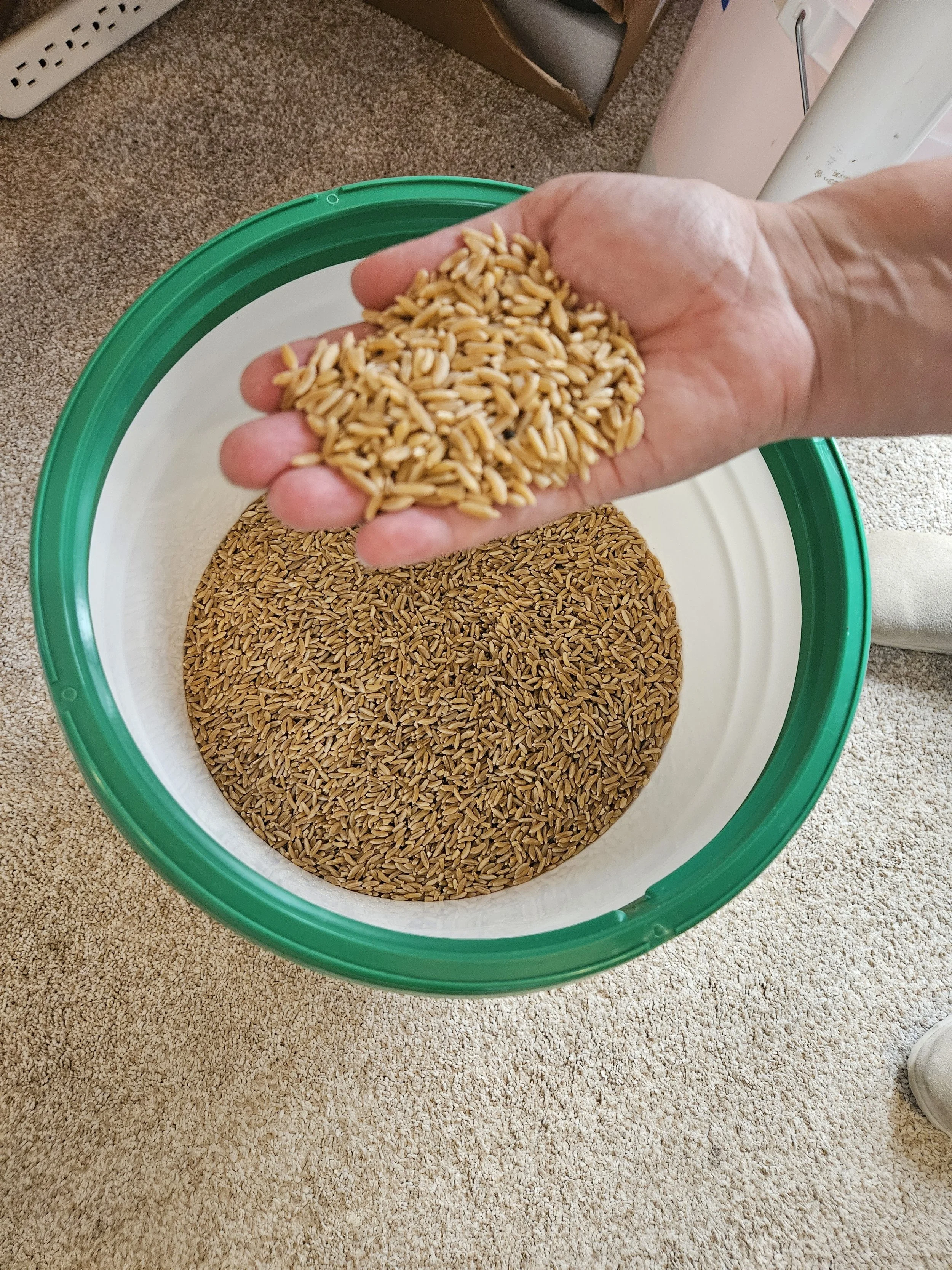 CrowesDough Charlotte, NC.jpg