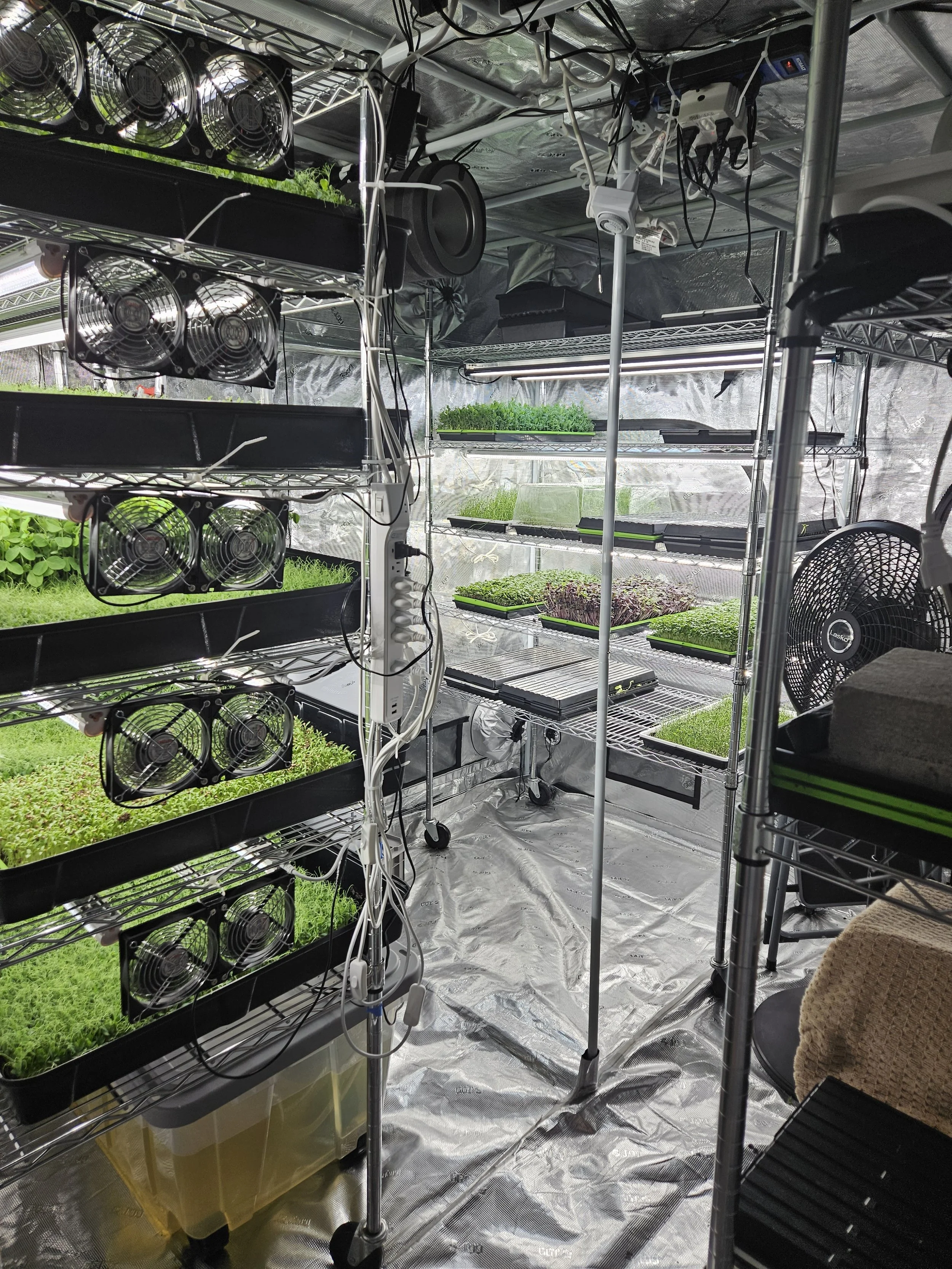 CrowesGrow charlotte nc.jpg