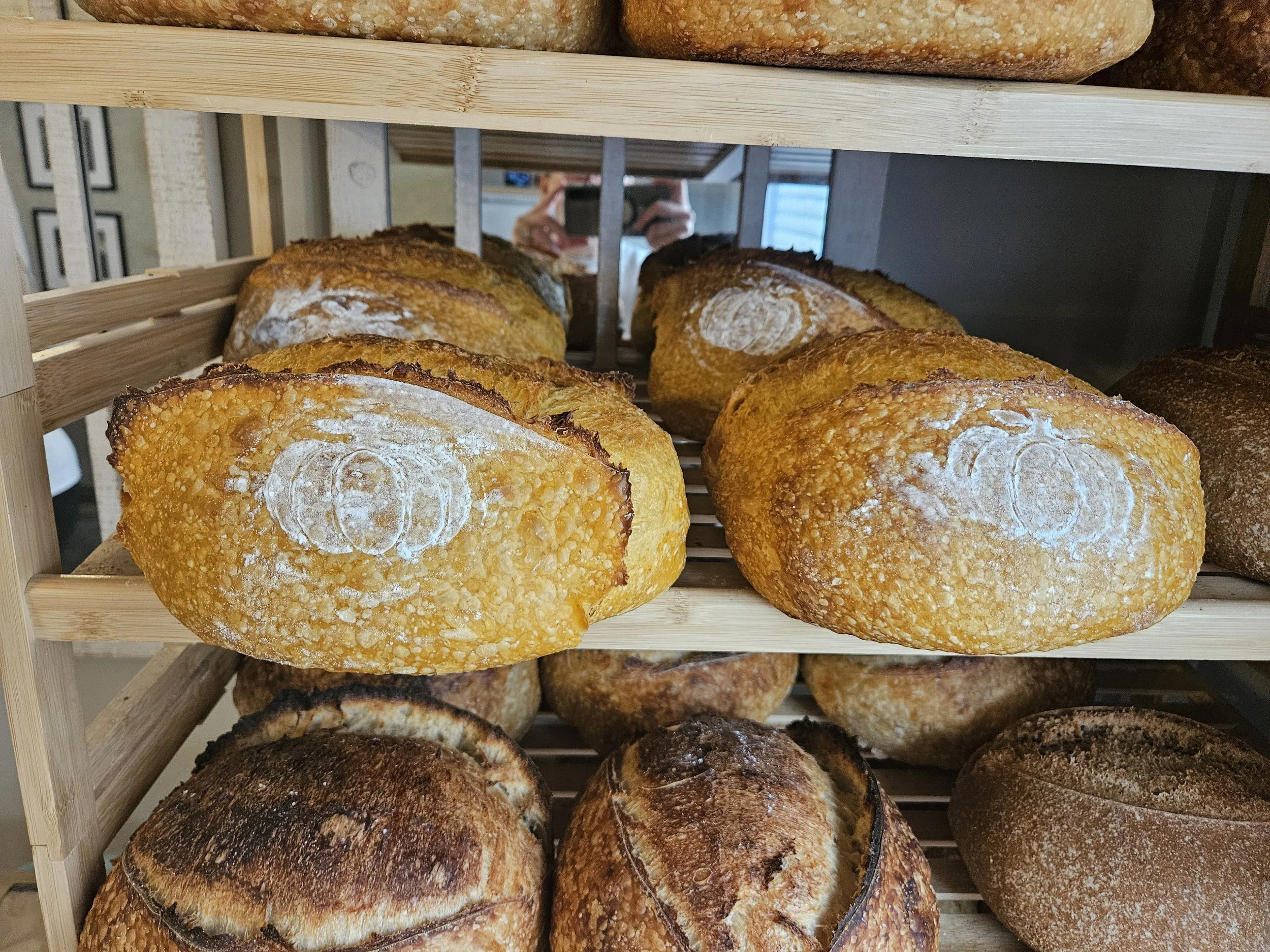 From Seed to Sourdough: A Visit with CrowesGrow &amp; CrowesDough