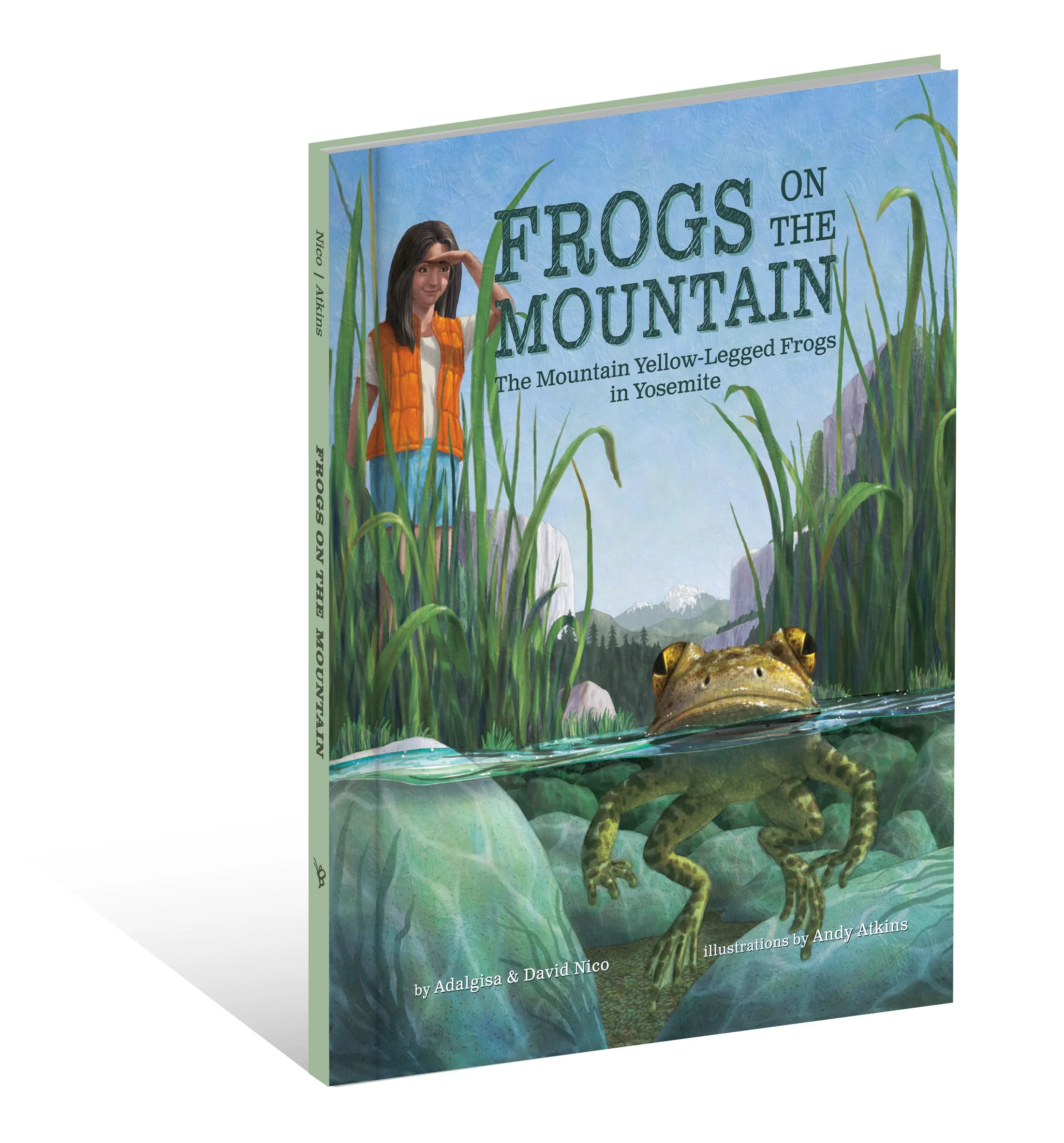 FrogsOnTheMountain_CVR_3D_HR copy.jpg