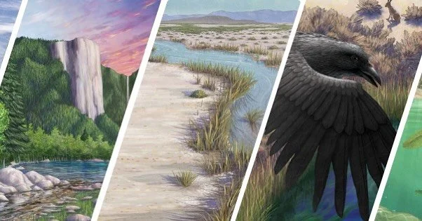 From mountains to deserts to forests, every page in the Bringing National Parks to Life book series opens a window into a different habitat. Each story helps kids see how animals and landscapes are connected, and why protecting them matters. 

#Bring