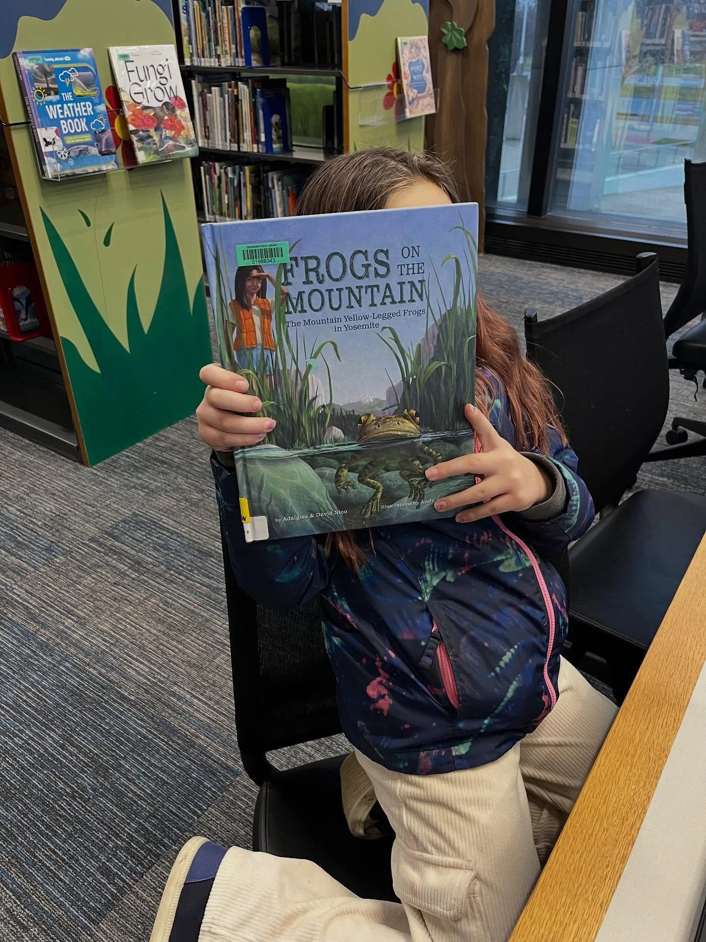 Frogs on the Mountain spotted @dearbornlibrary! Thanks for sharing pictures with us! David is from Dearborn, Michigan so it&rsquo;s exciting for our books to be at his hometown library! 

#library #frogsonthemountain #nicoauthors #bringingnationalpar