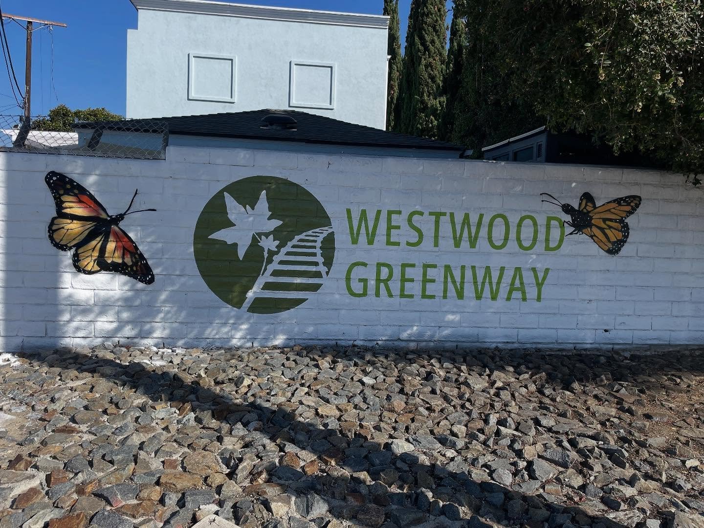 Join us tomorrow, Saturday, December 13 from 12-2pm at the Westwood Greenway for the launch party celebrating our third book, Fishers in the Forest: The Pacific Fishers in Sequoia and Kings Canyon! We will have cake and refreshments. Bring a mug or y