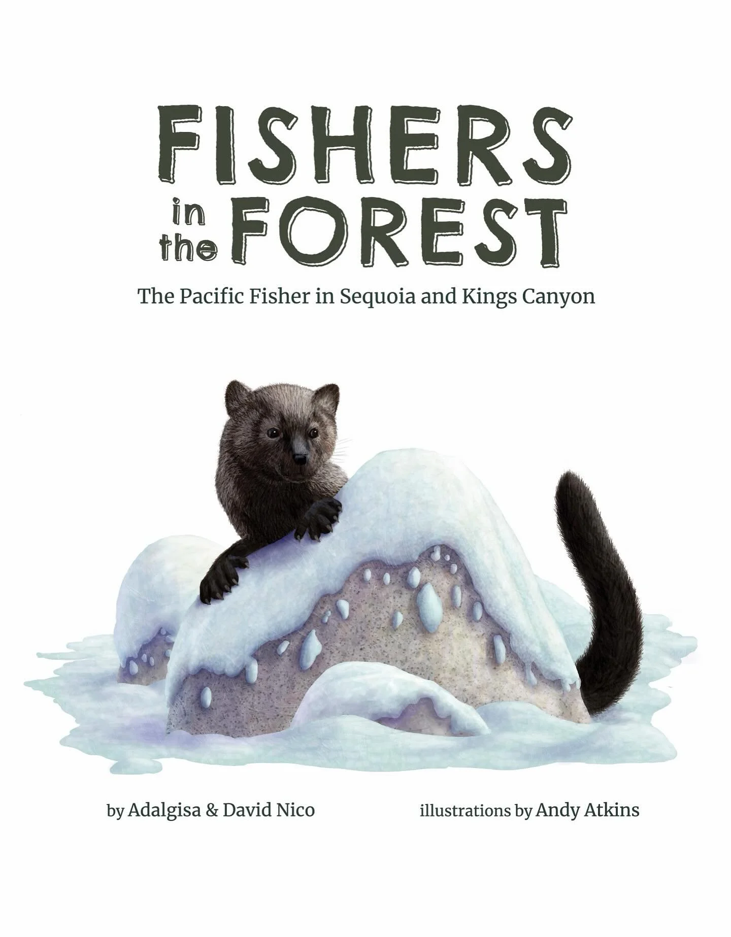 Something hopeful is unfolding in Ohio&rsquo;s forests. A fisher was recently recorded on a wildlife camera in Cleveland Metroparks, the first confirmed sighting in Cuyahoga County since the species disappeared more than a century ago. Its return is 