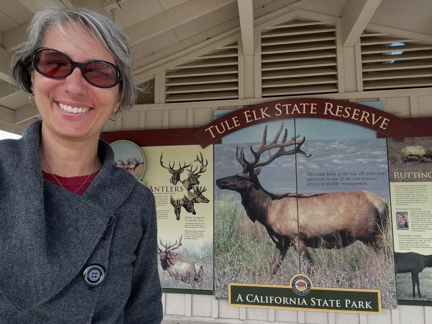Did you know California State Parks are closer and more accessible than many people realize? Through the California State Library Parks Pass program, you can check out a free state park pass at your local library and explore beaches, forests, deserts