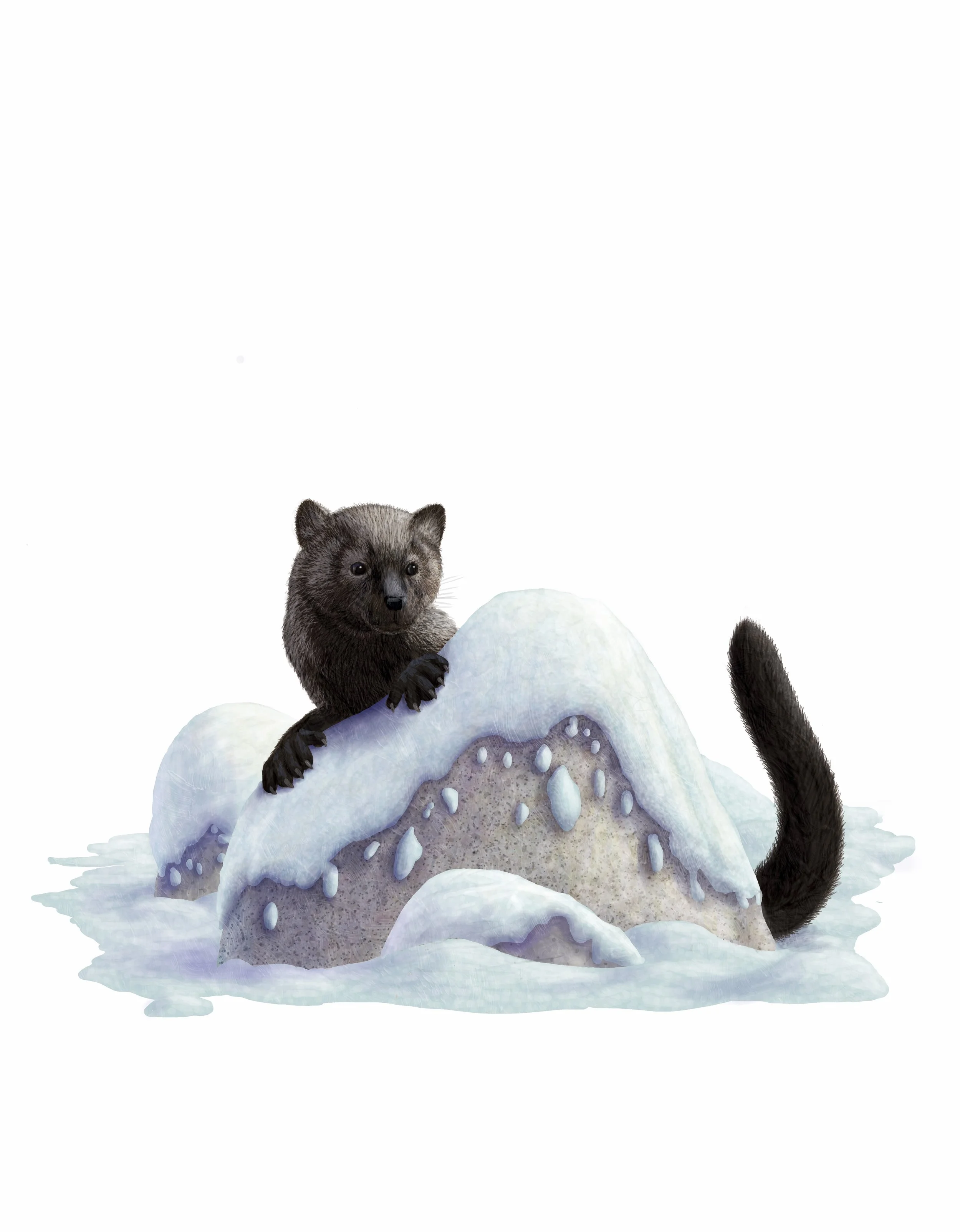 How Animal Stories Help Children Practice Empathy