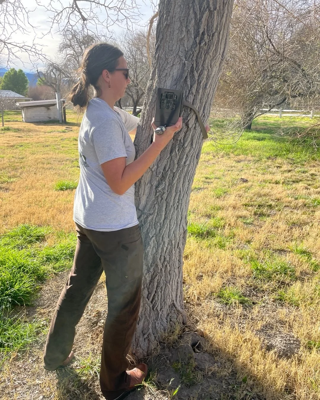 One of the best parts of being an author is the research. We love learning from scientists who are working hard to understand and protect wildlife. In Fishers in the Forest, Marisol shows Adele how wildlife cameras help researchers spot Pacific fishe
