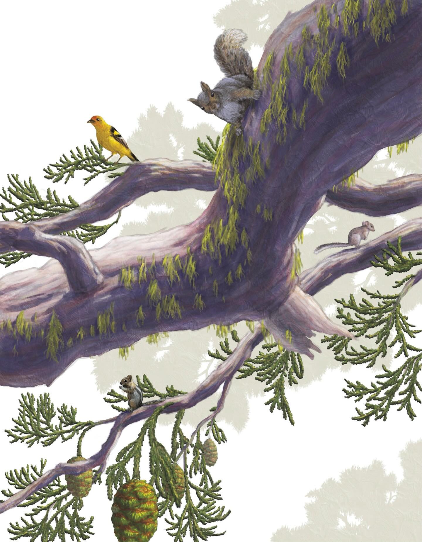 Happy Earth Day!

#earthday #earthdayeveryday #bringingnationalparkstolife #nicoauthors #kidlit