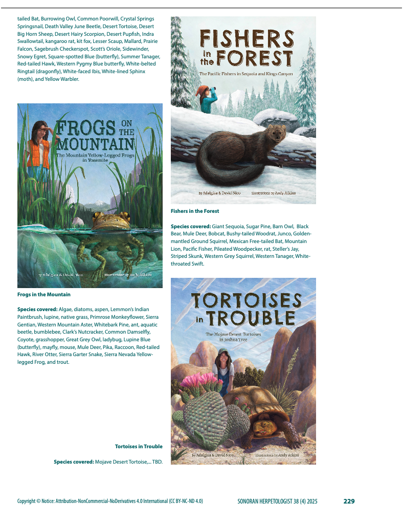 Cover of a book titled 'FISHERS in the FOREST' with a snowy forest scene and a bear in the foreground, authored by Adalgisa & David Nico and illustrated by Andy Atkins. Also, a cover of a book titled 'FROGS ON THE MOUNTAIN' featuring a girl in orange and glasses standing next to a mountain and a frog, authored by Adalgisa & David Nico. Additionally, a cover of a book titled 'TORTOISES in TROUBLE' with a girl among desert cacti and a tortoise, authored by Adalgisa & David Nico.