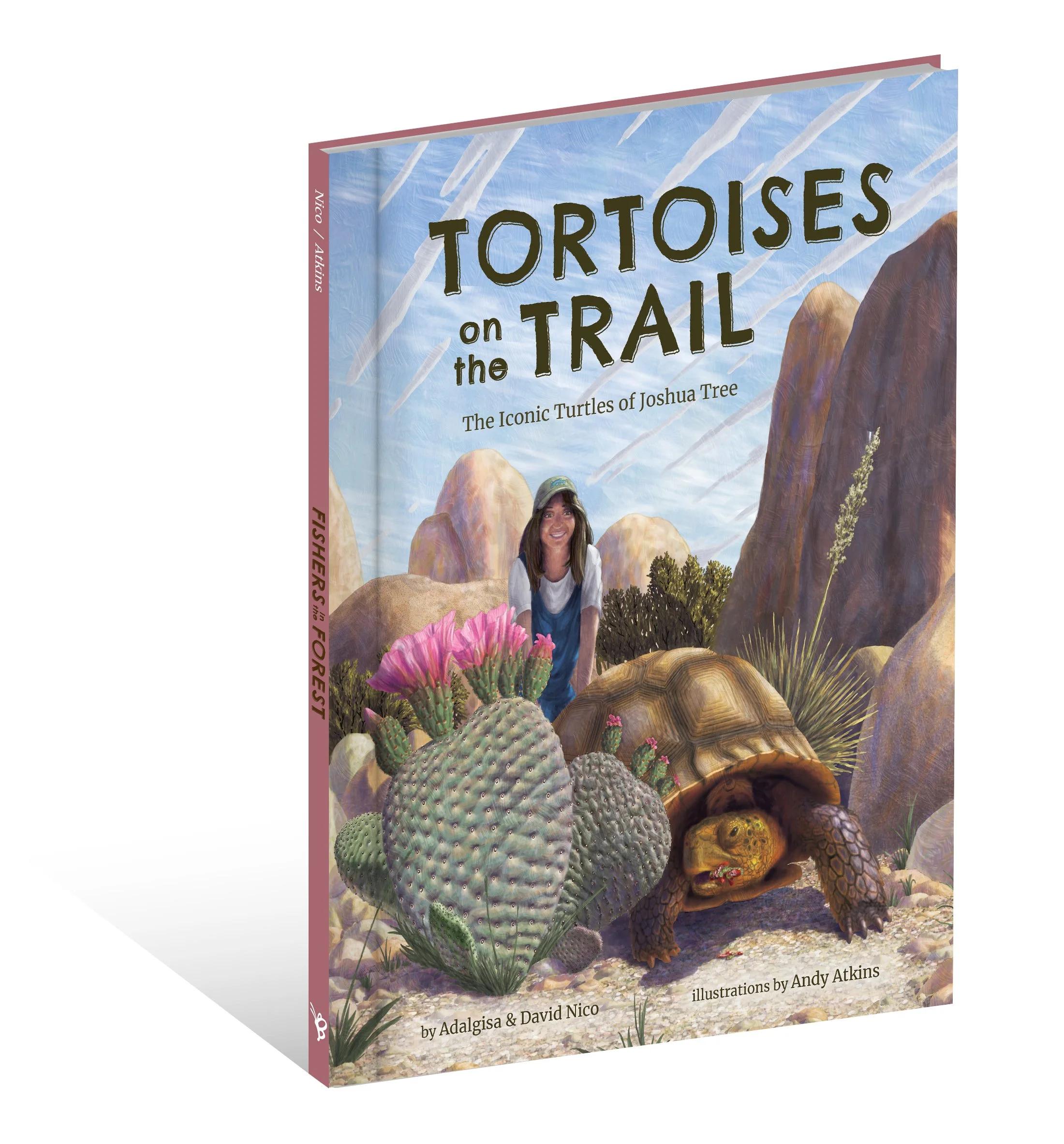 tortoises on the trail 3D shadow book cover.jpg