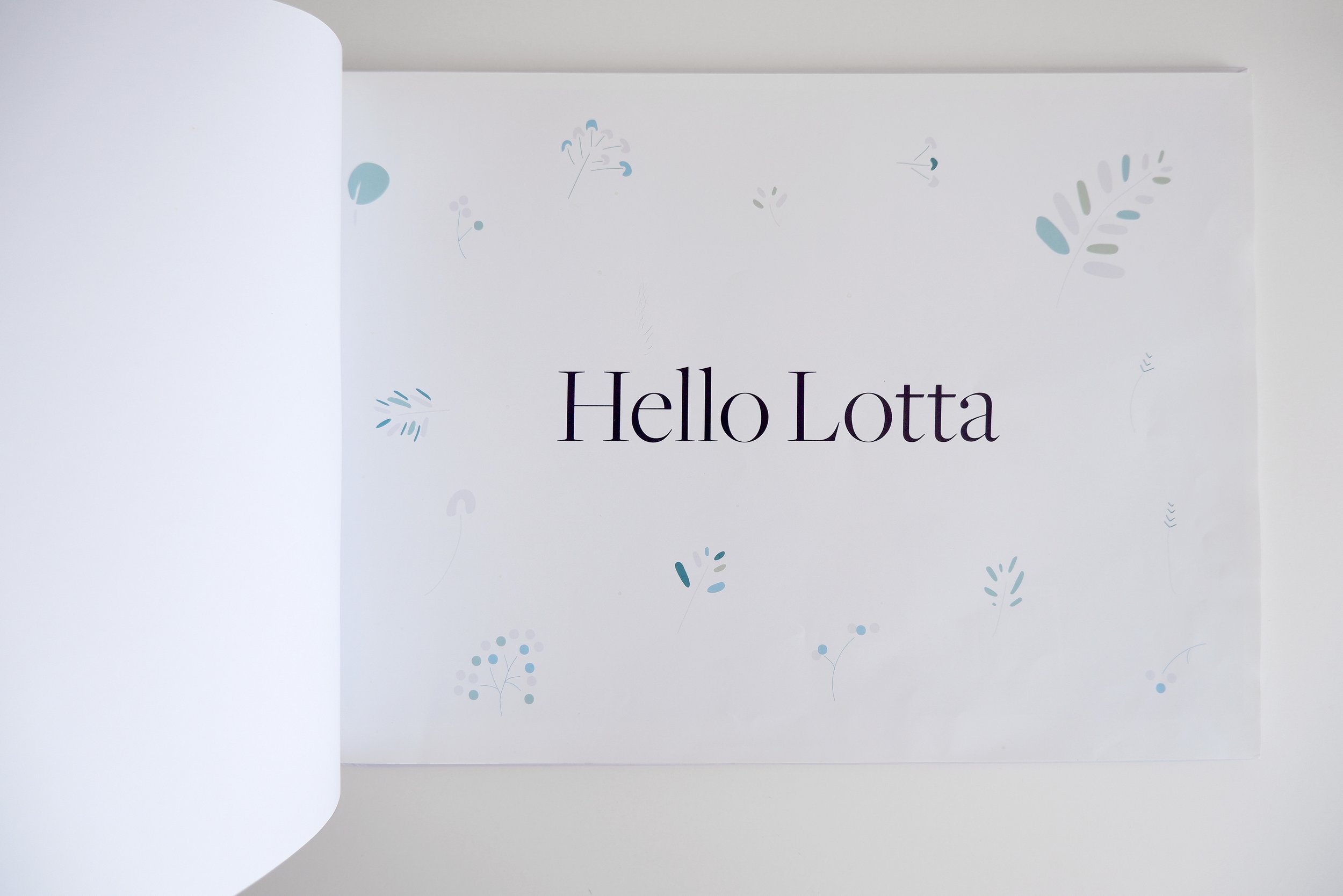 hello_lotta.jpg