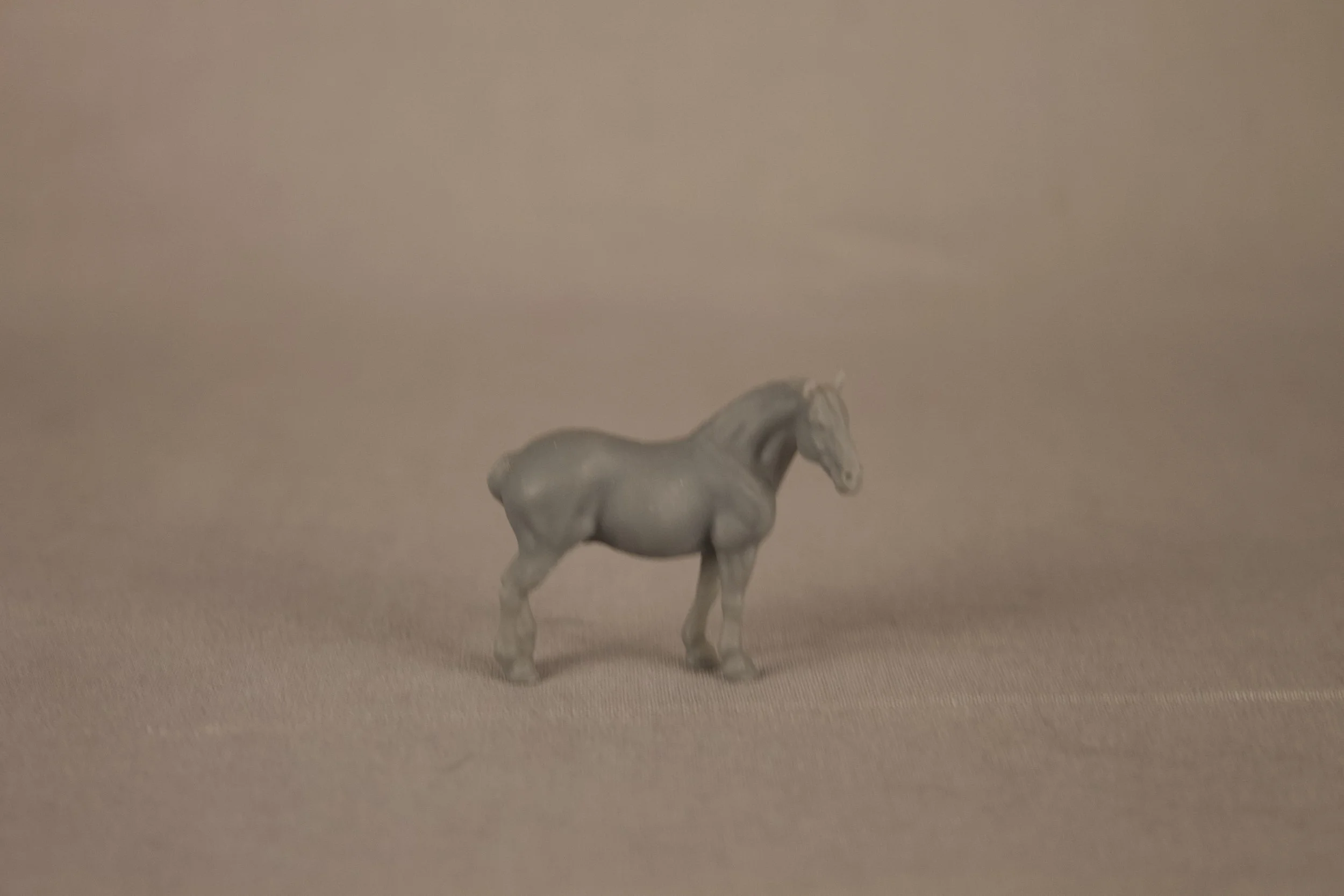 Micro Mini Draft (chipped ear)