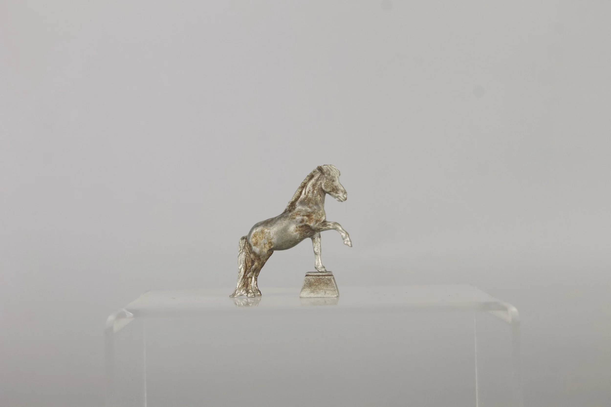 Micro Mini Shetland pony