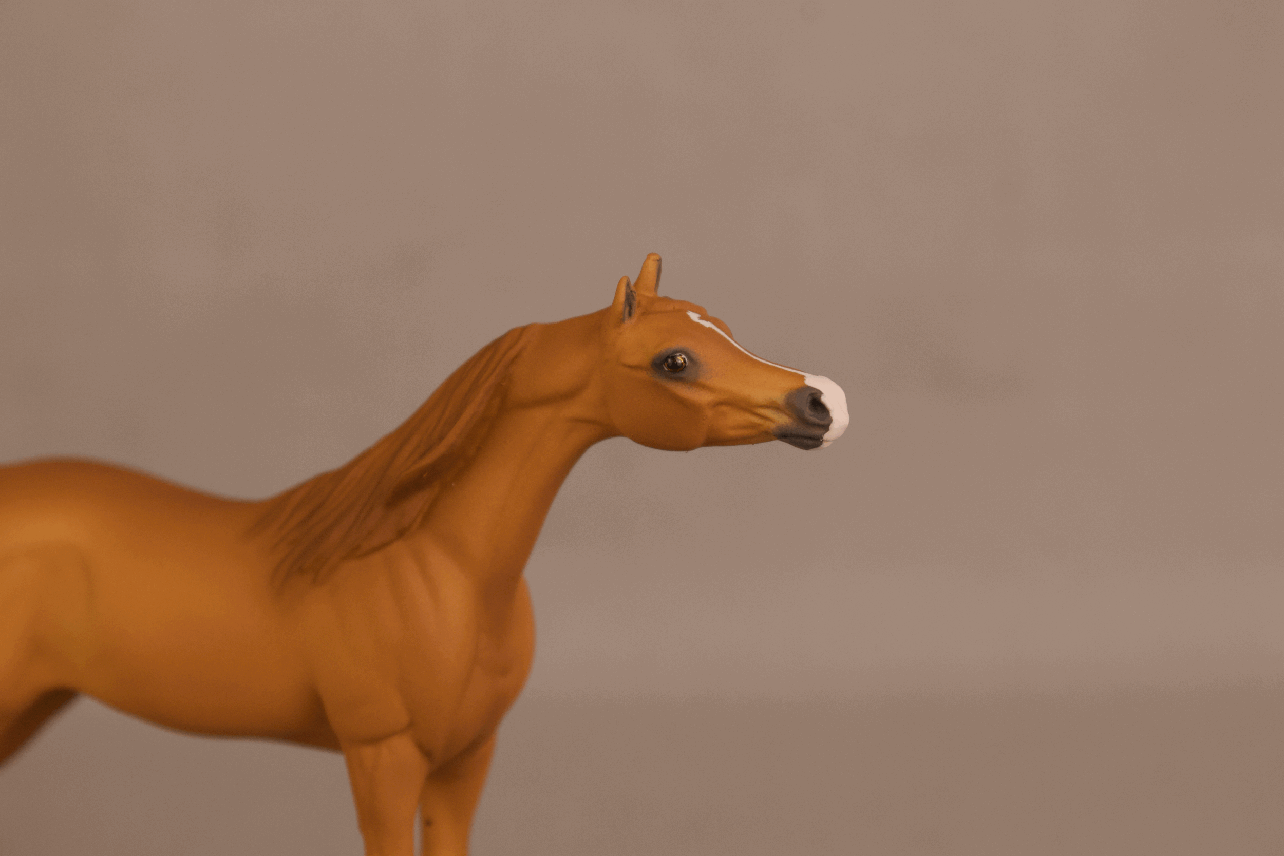 tempImageLS7K97.gif