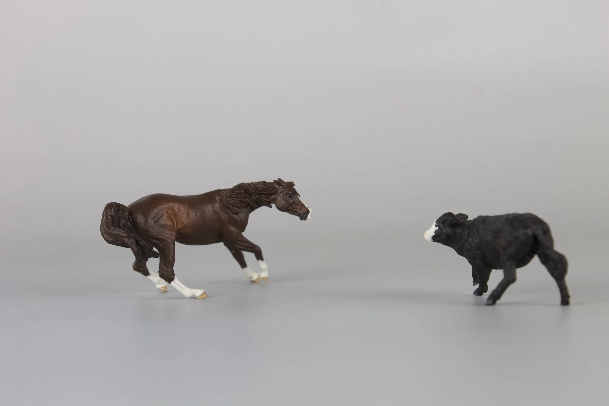 Micro Mini Spynner and Riata