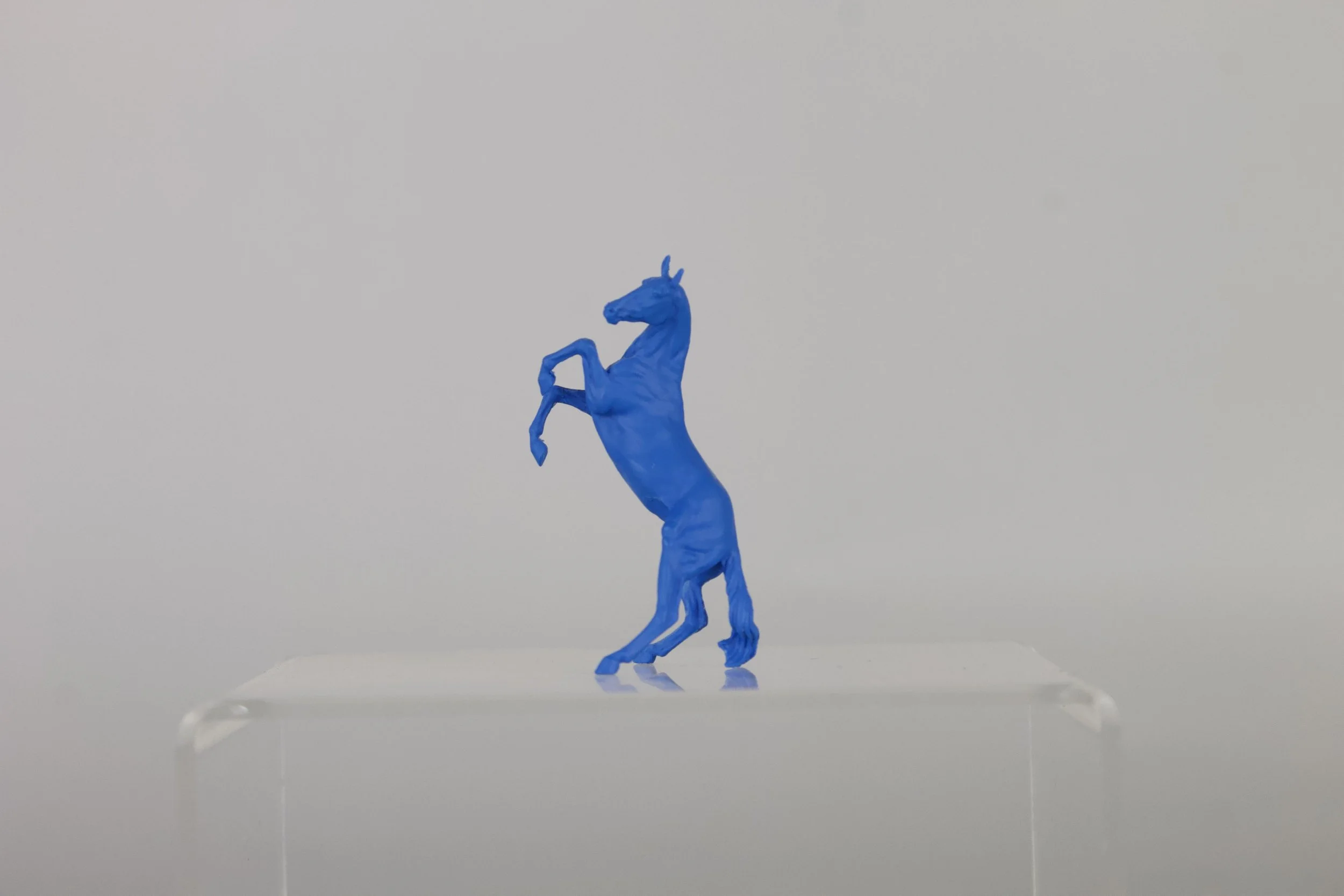 Micro Mini Akhal Teke