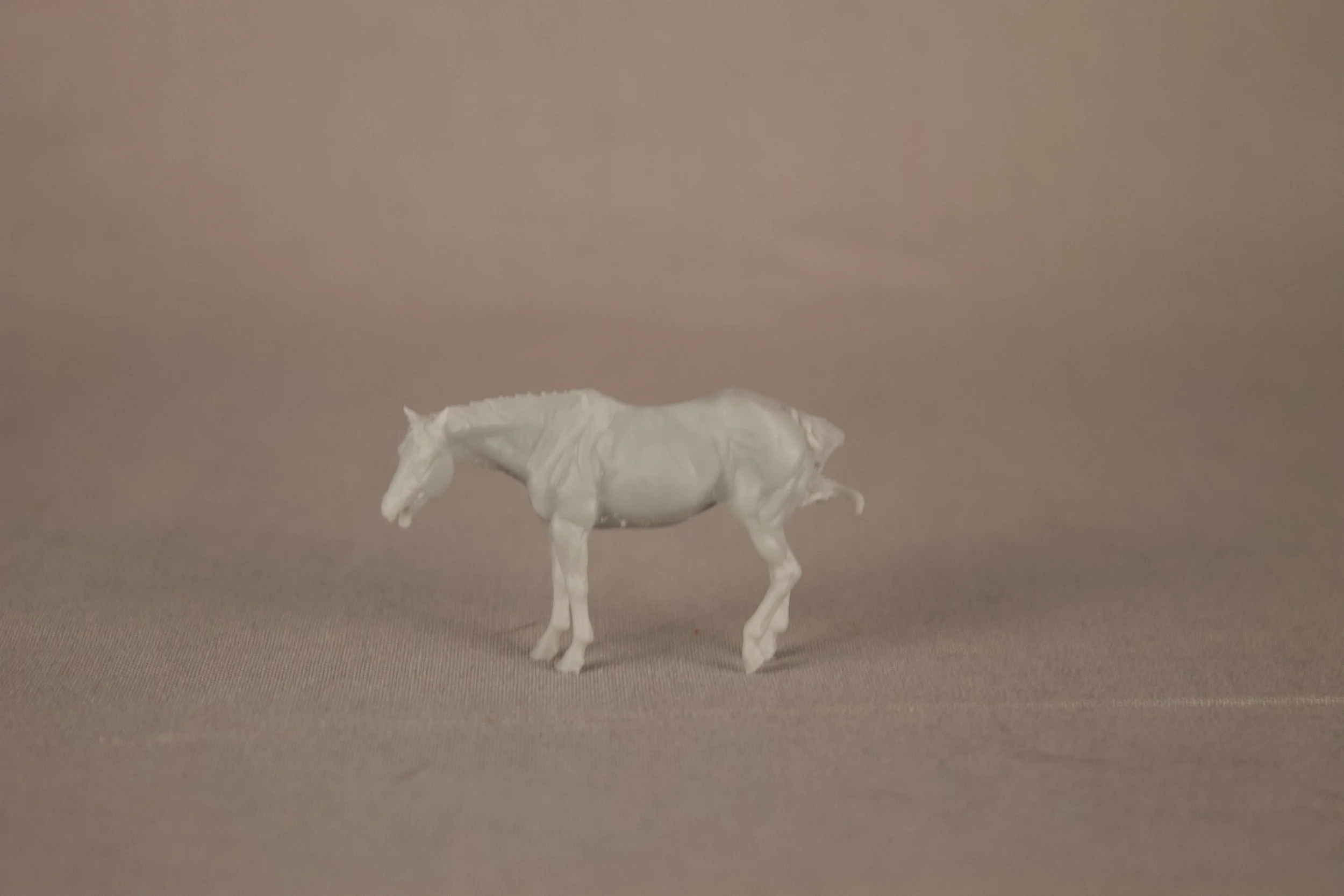 Micro Mini Silverton