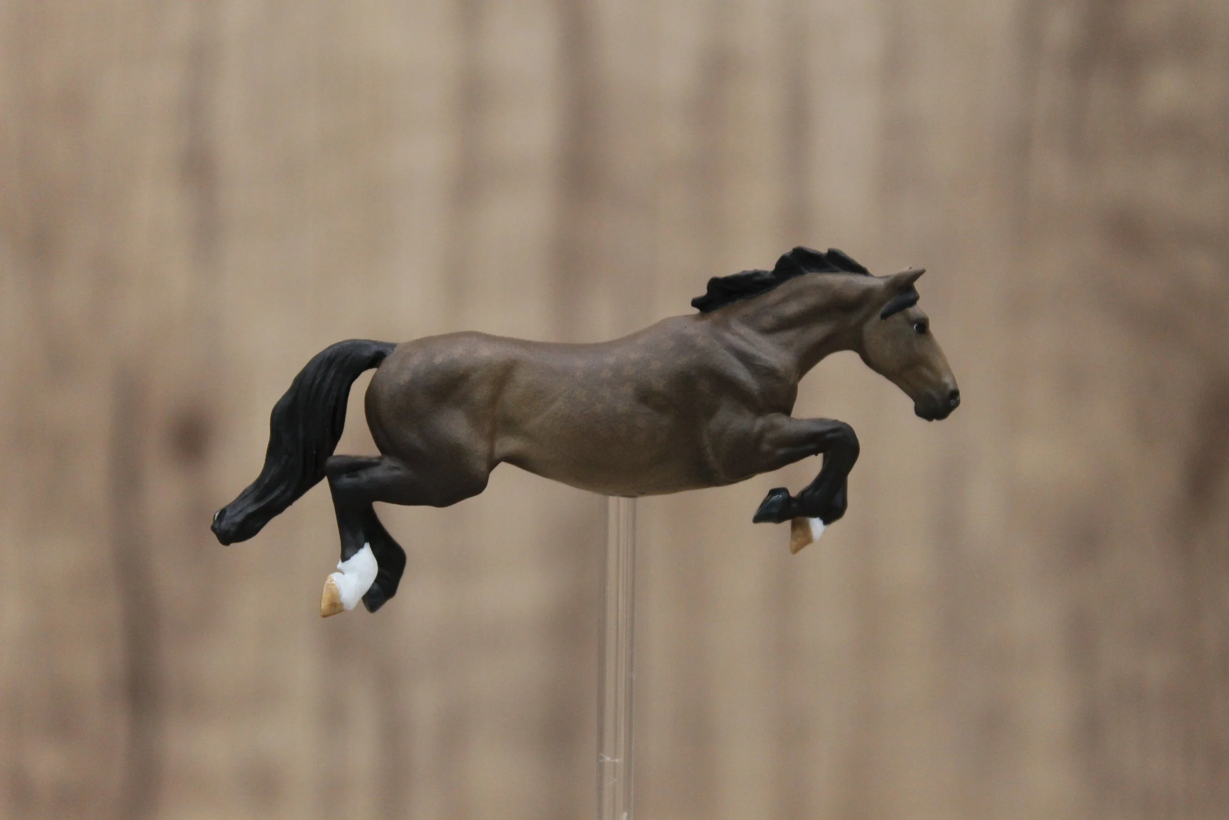 Airbrushing a Sooty Buckskin