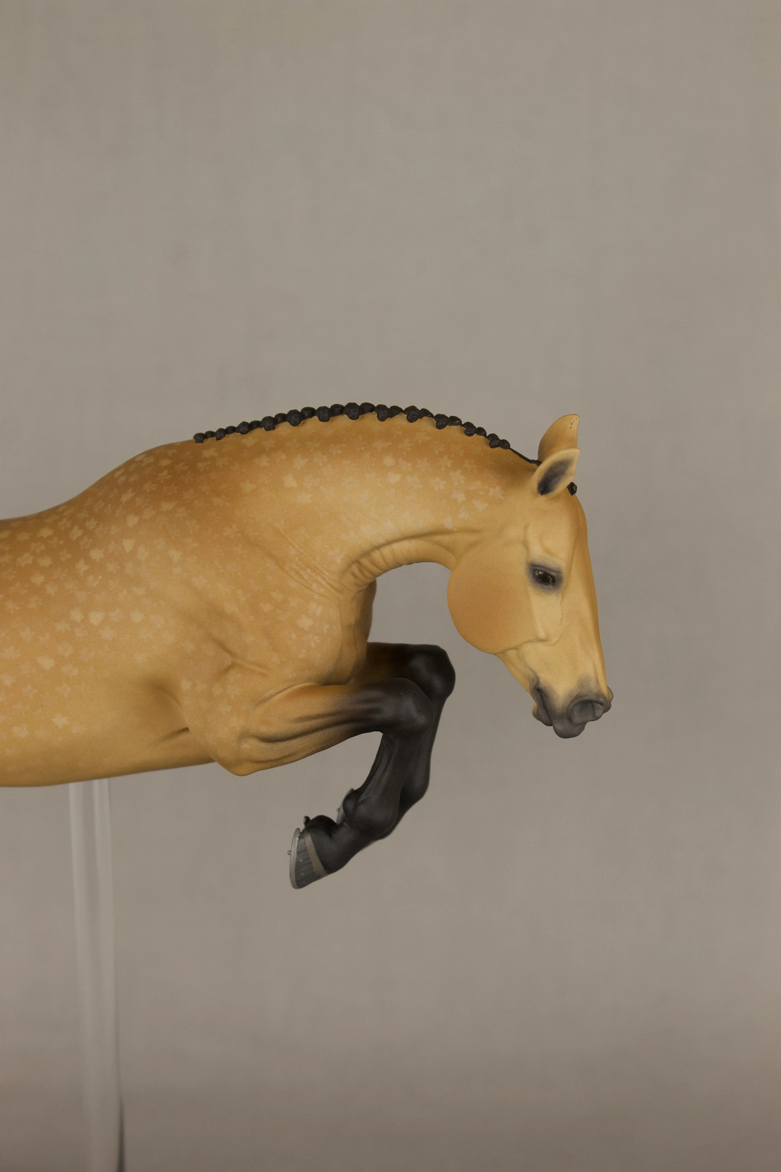 IMG_6479.jpeg