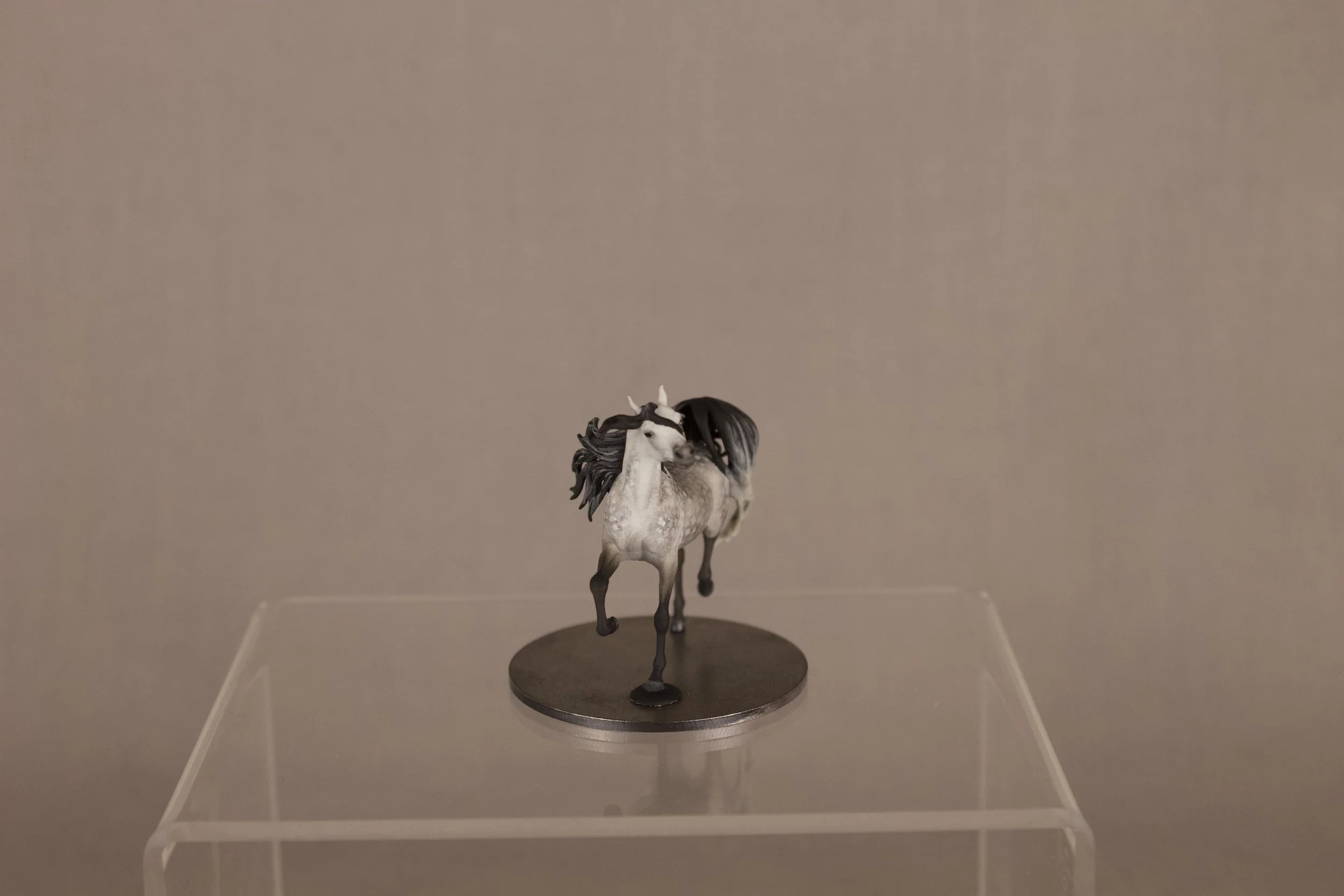 IMG_6454.jpeg