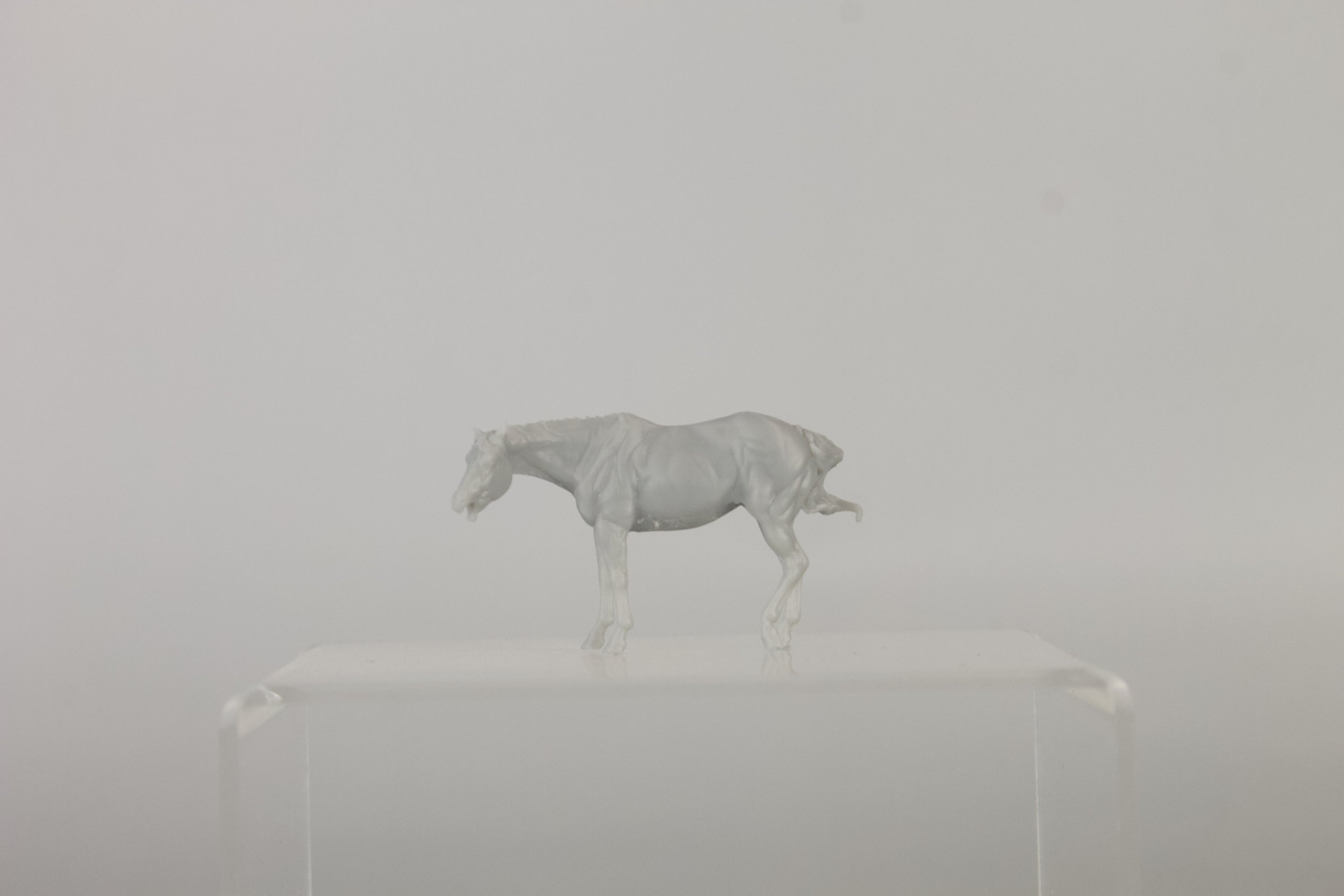 Micro Mini Silverton