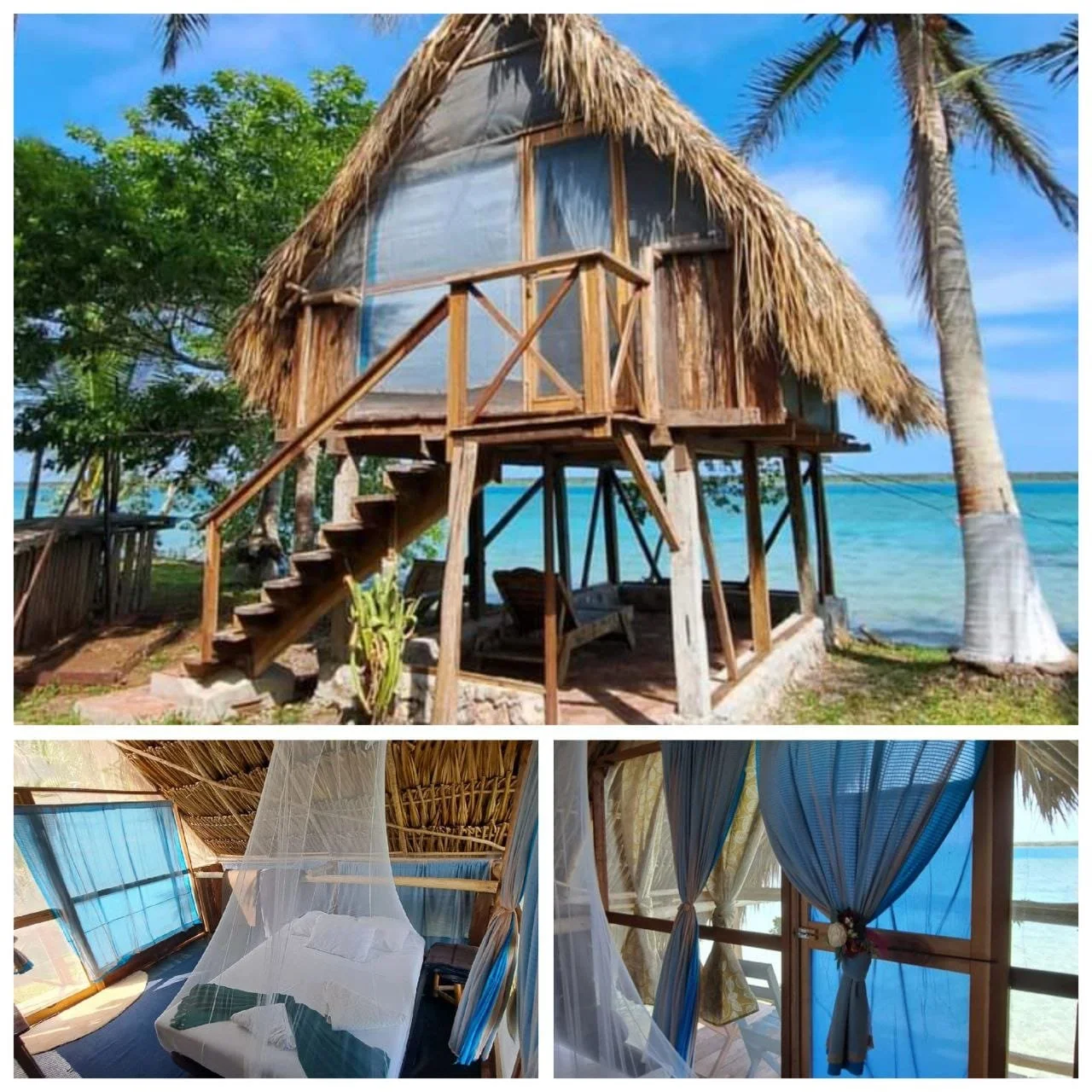 WhatsApp Image 2024-11-12 at 13.08.35.jpeg